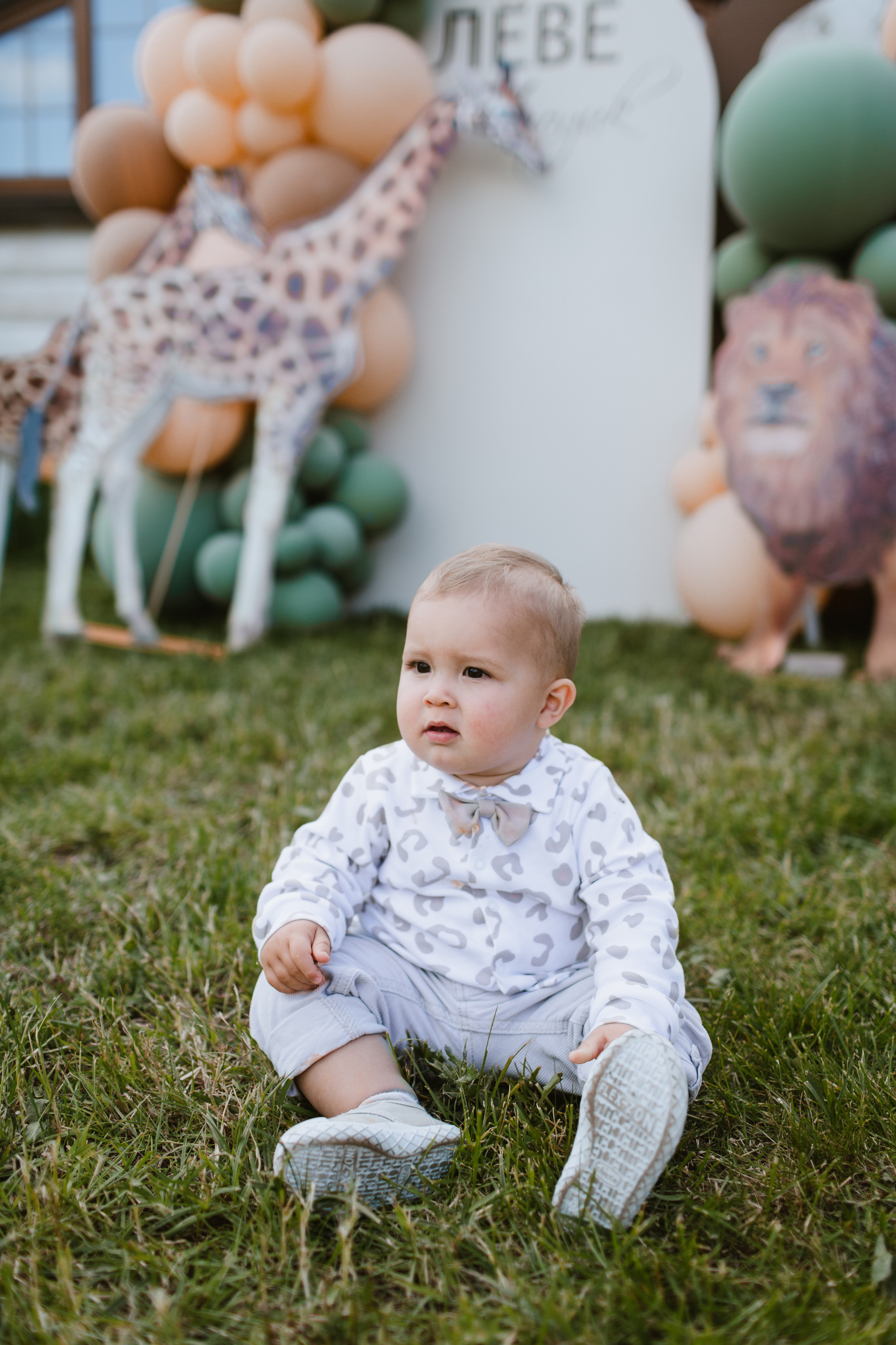 Лев 1 год. Фотограф и видеограф Мария Банщикова, Солнечногорск, Москва