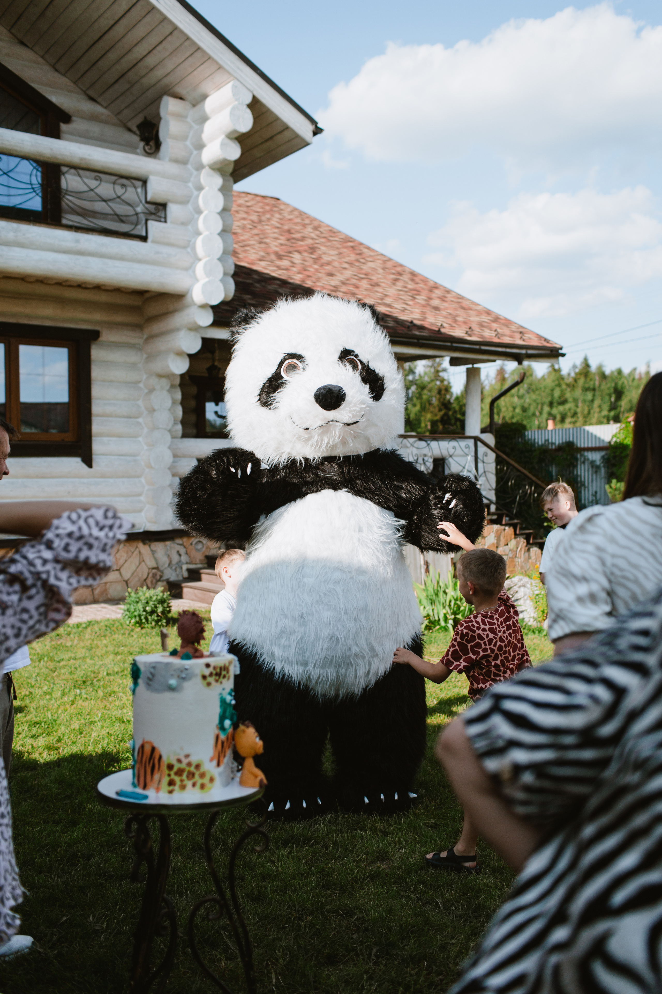 Лев 1 год. Фотограф и видеограф Мария Банщикова, Солнечногорск, Москва