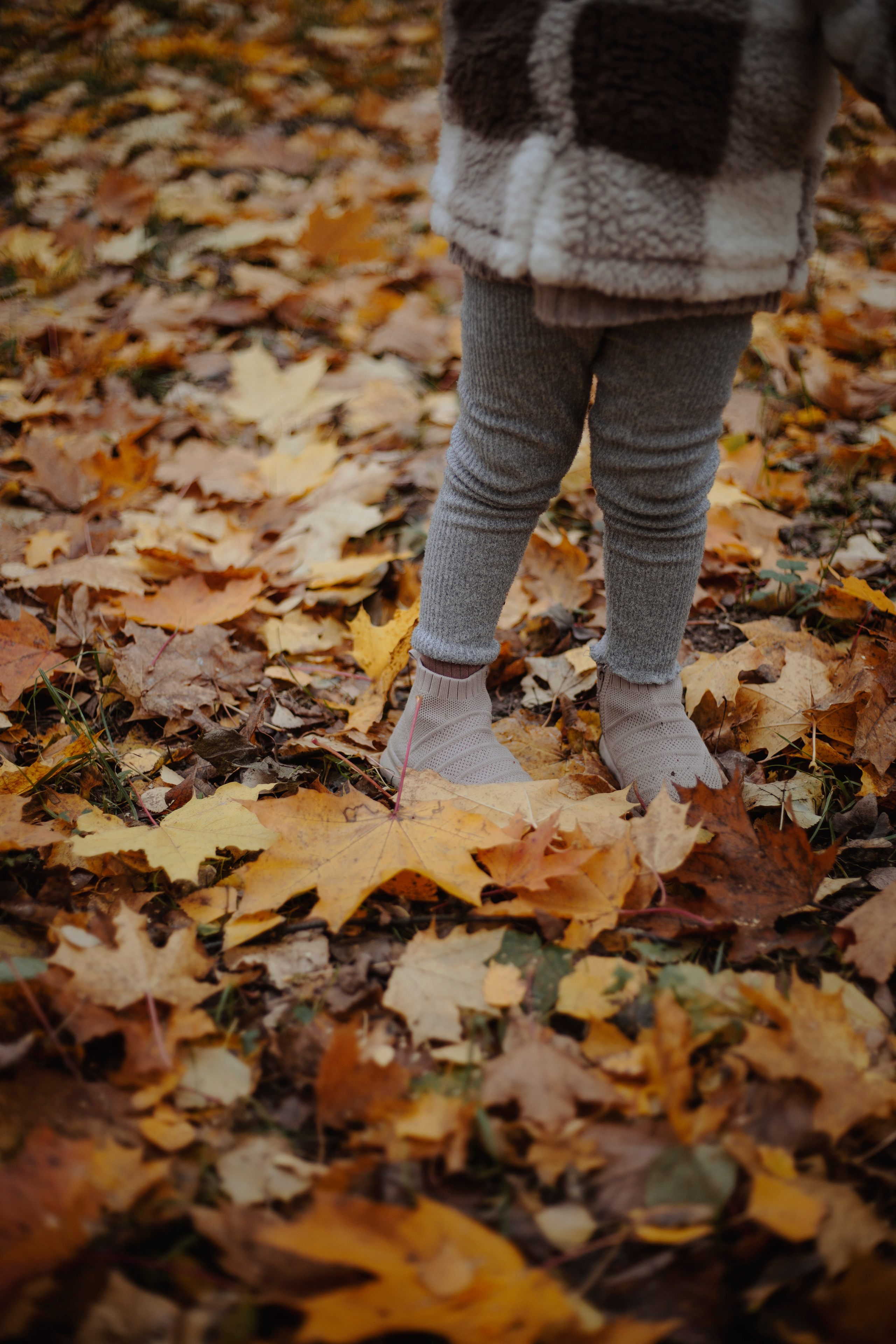 M&N. Фотограф и видеограф Мария Банщикова, Солнечногорск, Москва