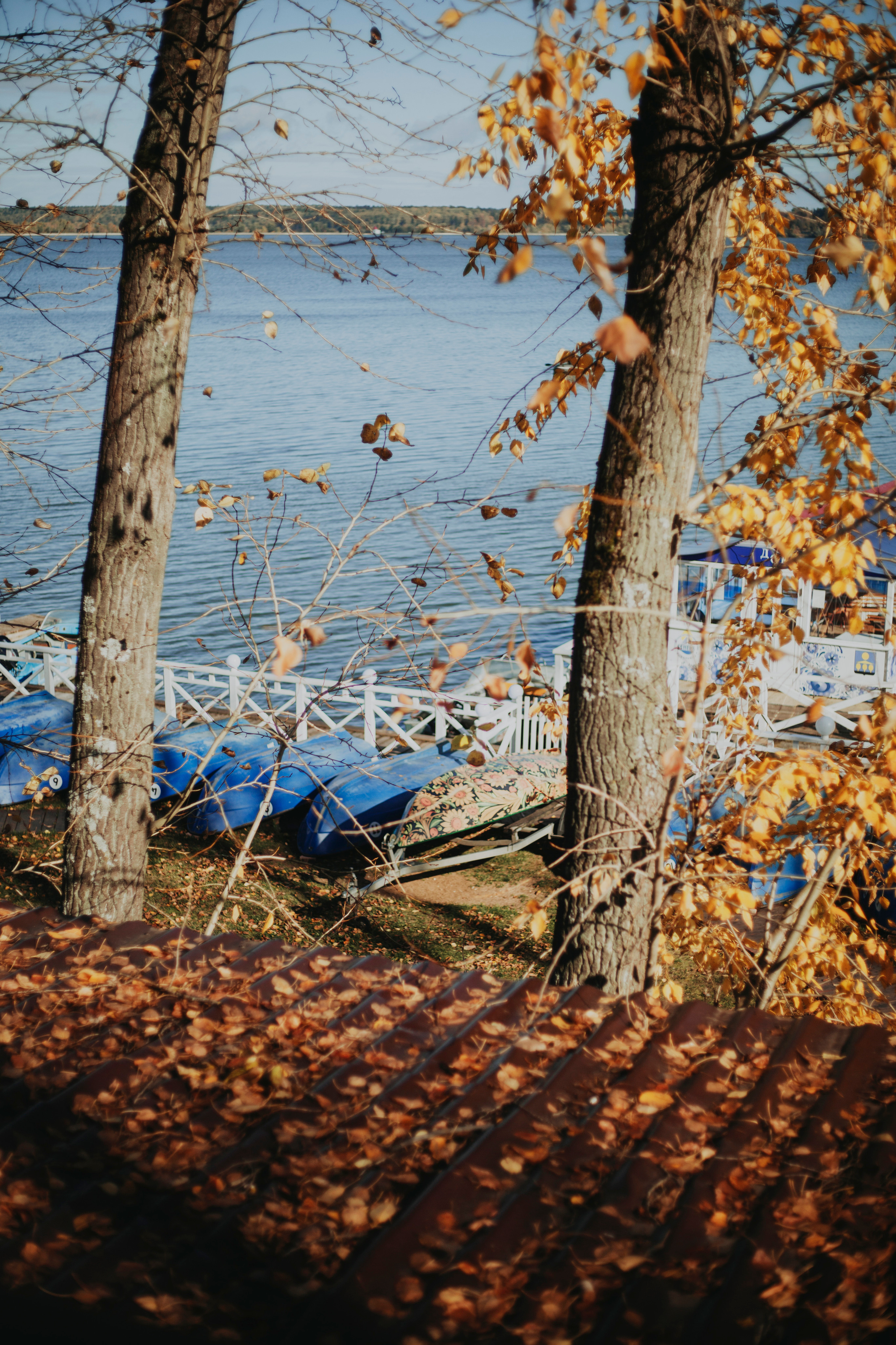 M&N. Фотограф и видеограф Мария Банщикова, Солнечногорск, Москва