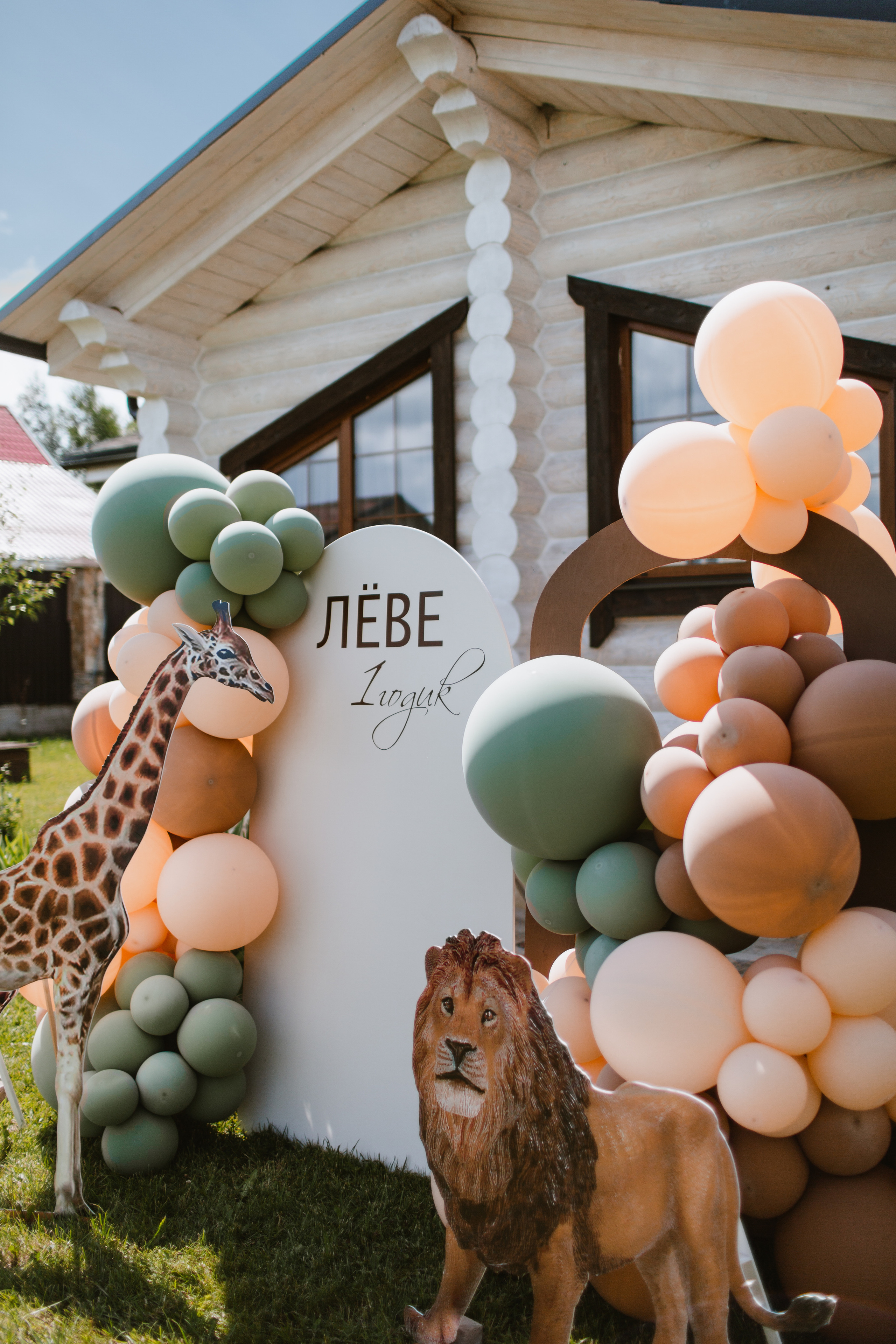 Лев 1 год. Фотограф и видеограф Мария Банщикова, Солнечногорск, Москва