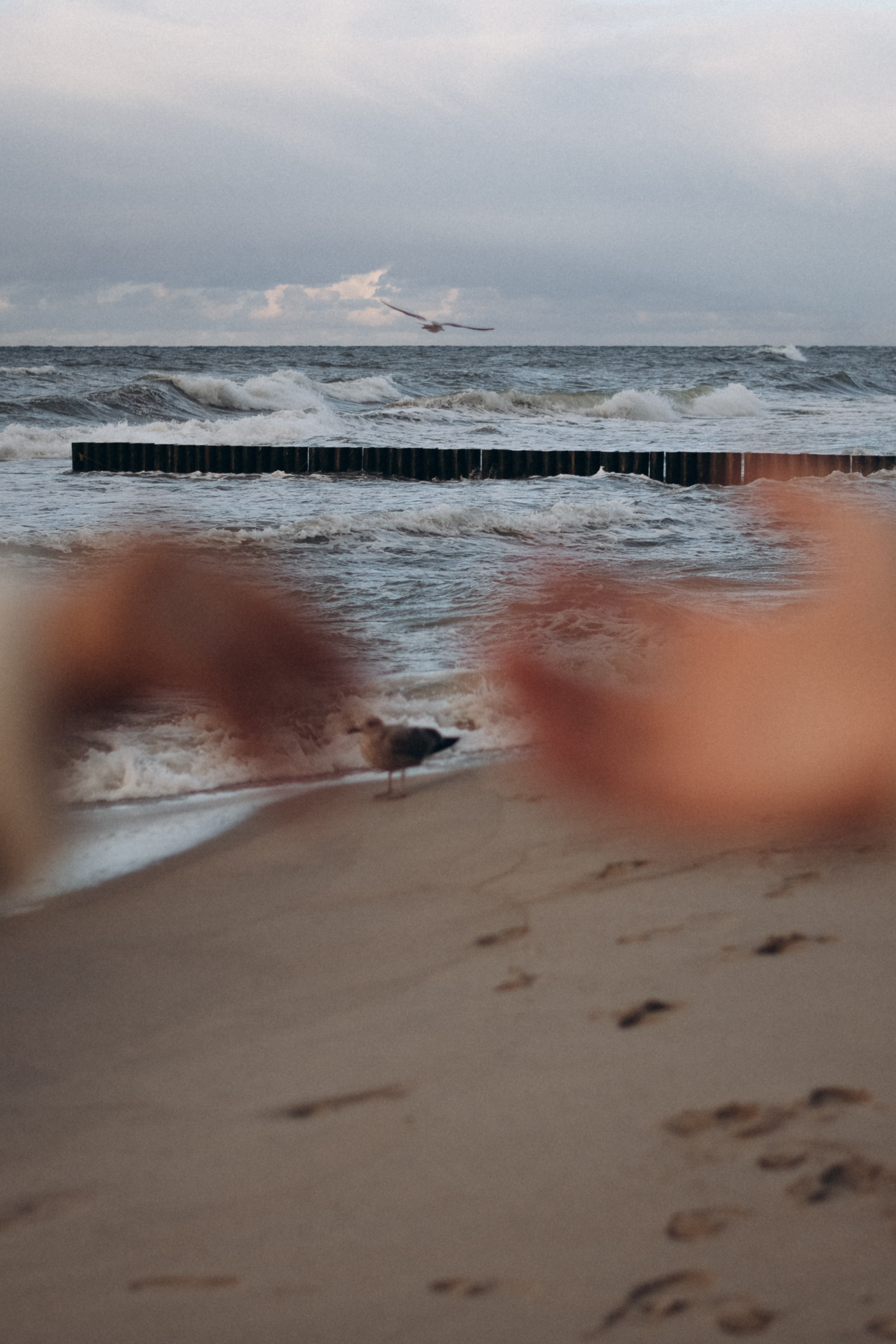 Семейная съемка на море, Калининград