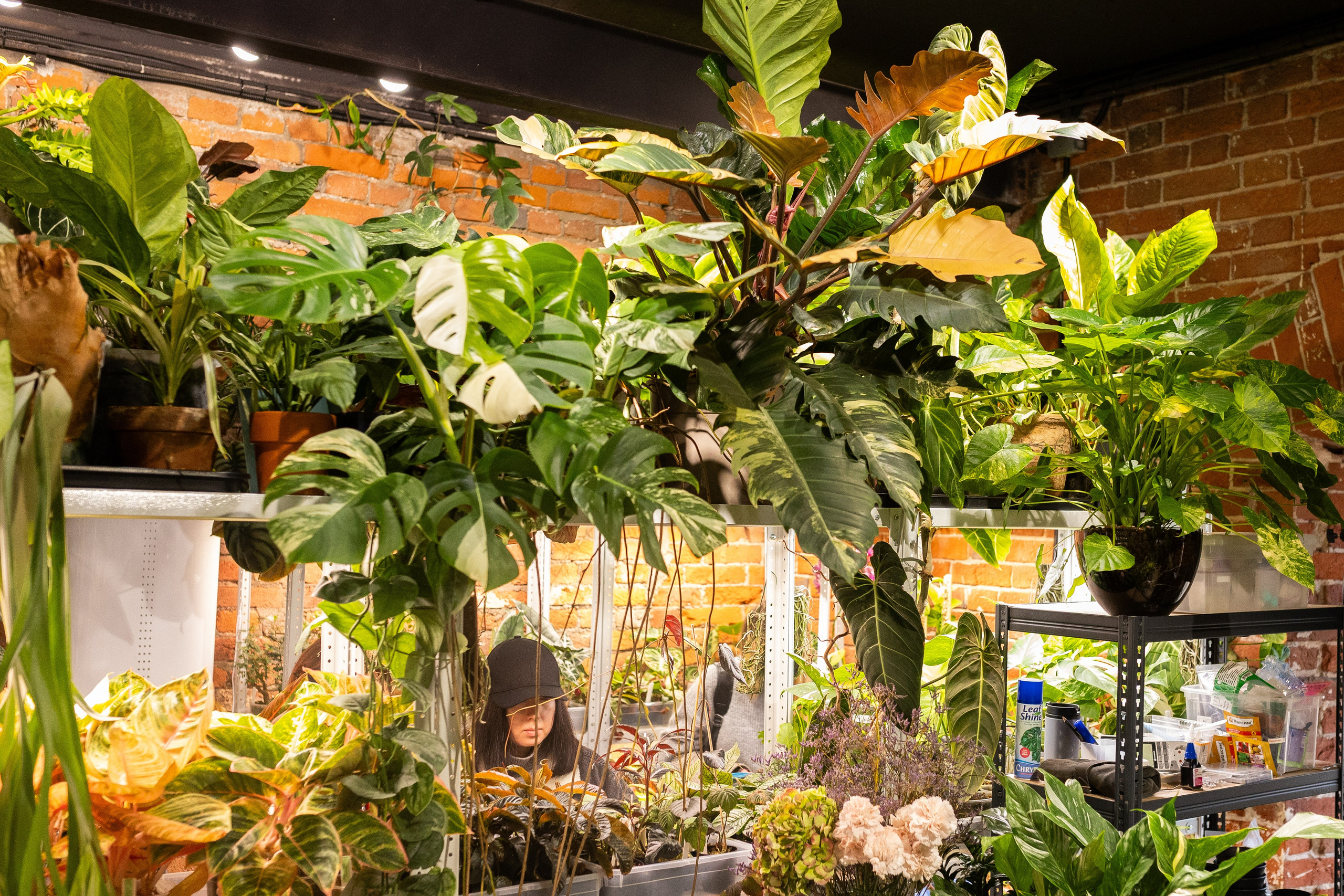 GreenRare ярмарка 2024. Александра Куликова фотограф, Москва