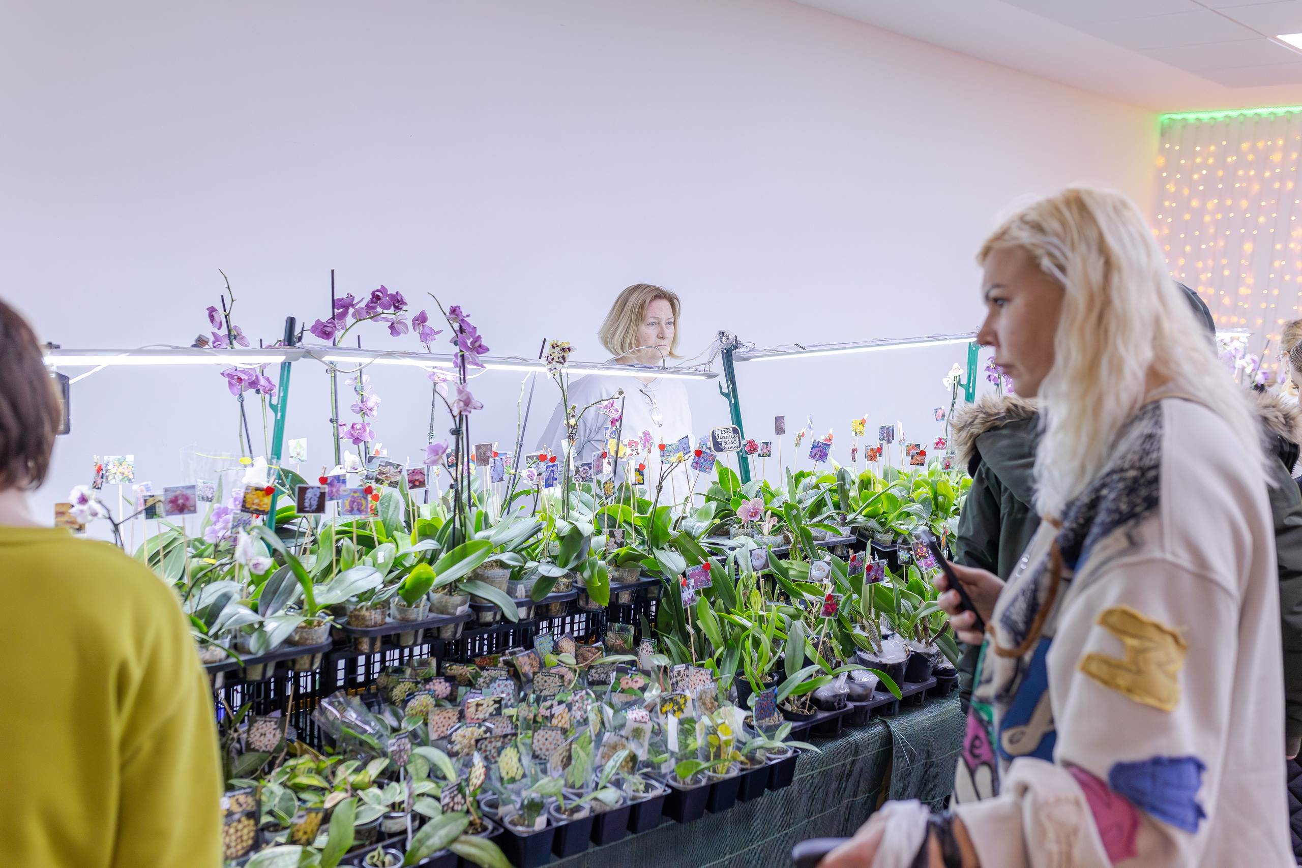 Орхидиум 12.2025. Александра Куликова фотограф, Москва