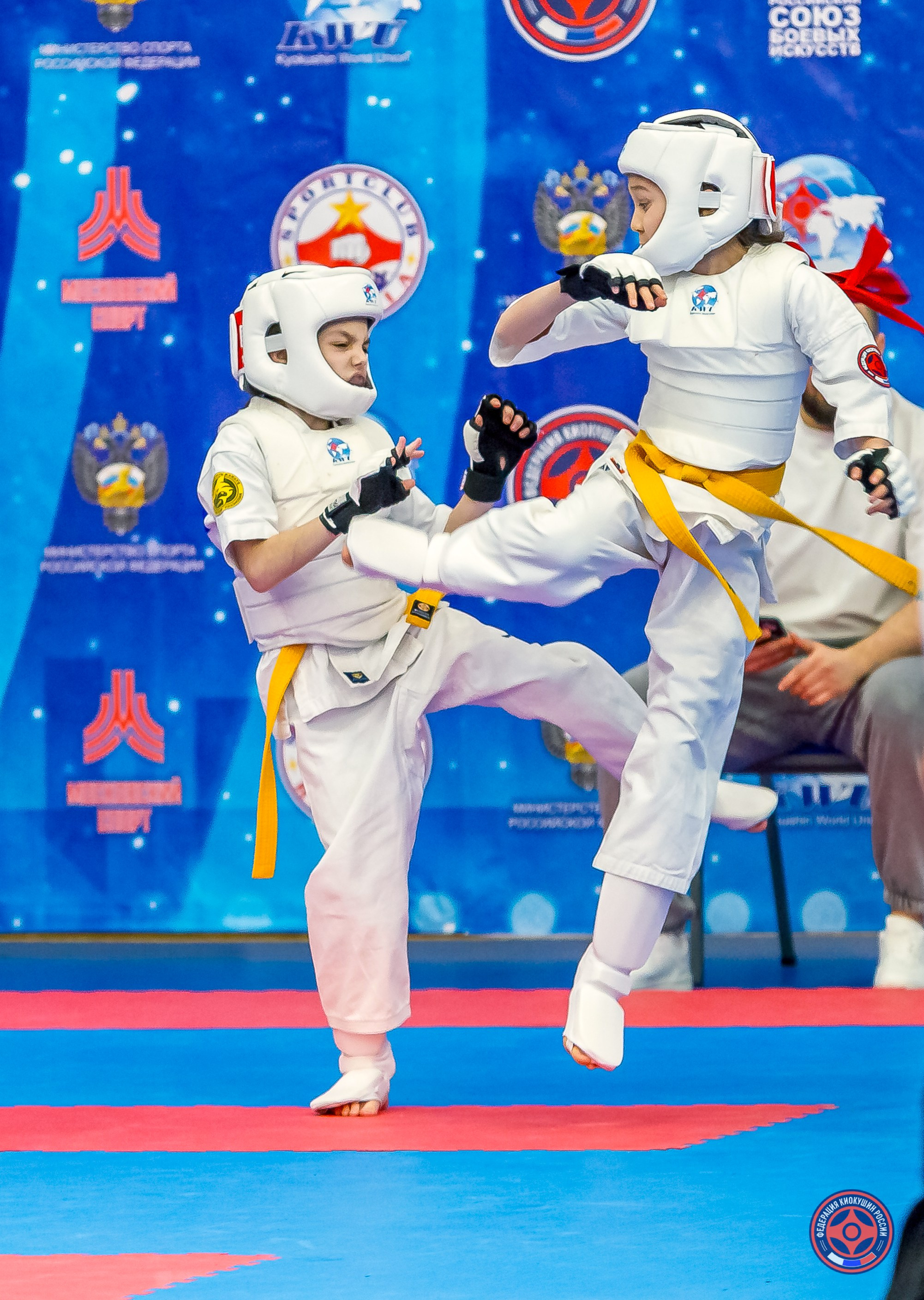 Международный турнир по киокушин «Открытый кубок Seiken». Репортажная съемка в Москве и области. Анималистика