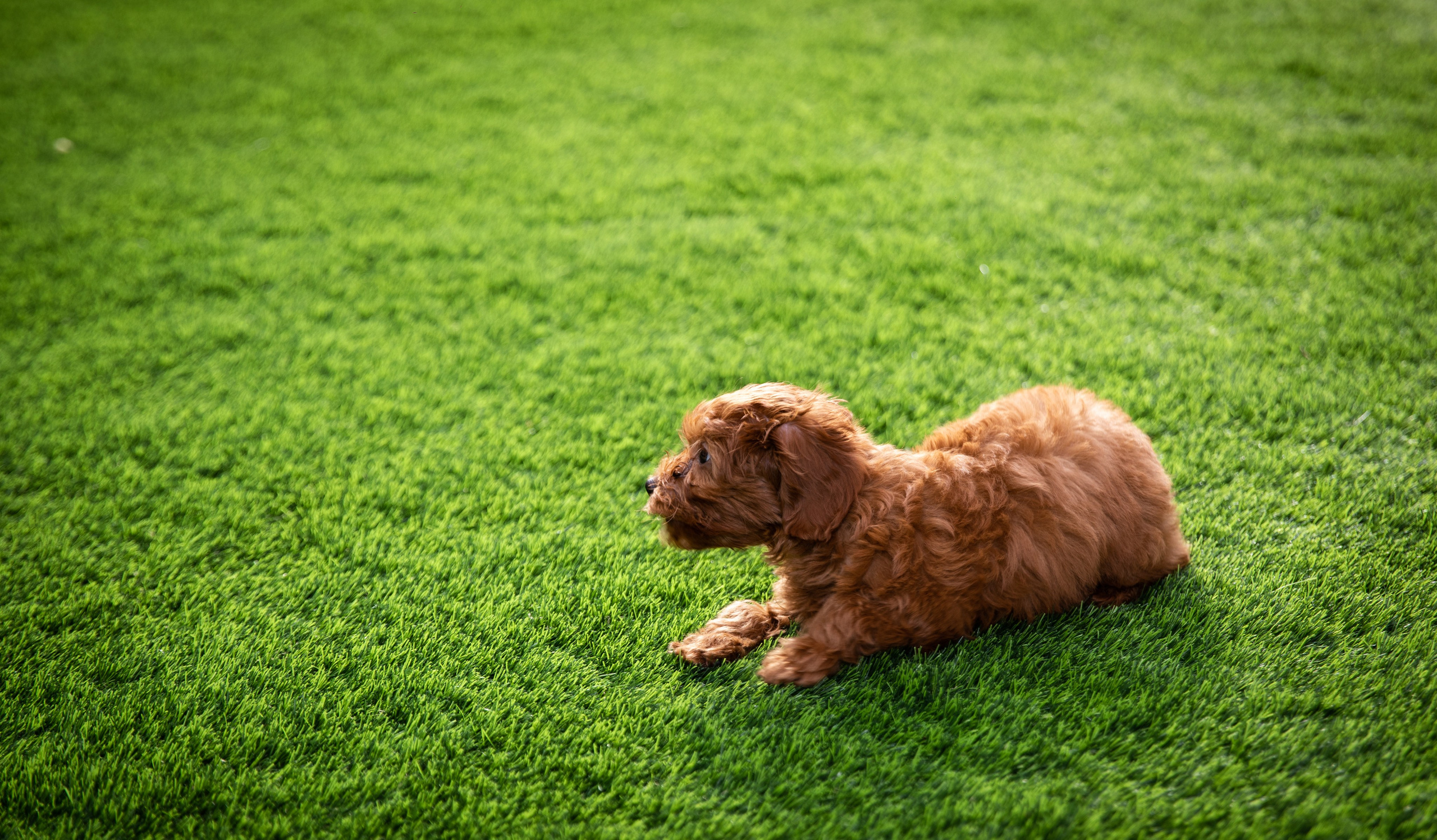 День Рождения Егорки -2025. VoronEvent. Репортажный и свадебный фотограф в Челябинске Елисеев Павел