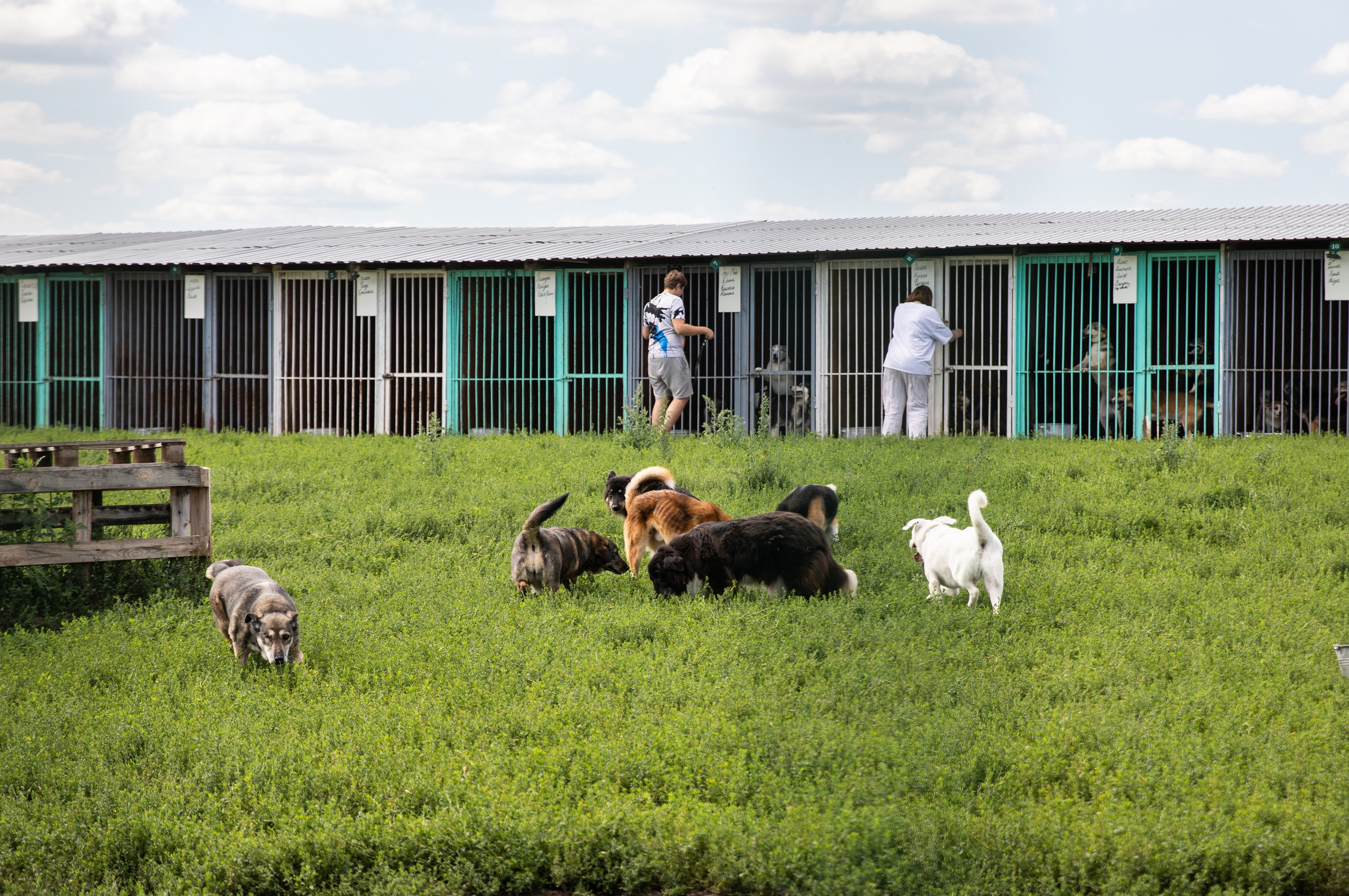 Приют — Наш дом. Репортажный и свадебный фотограф в Челябинске Елисеев Павел