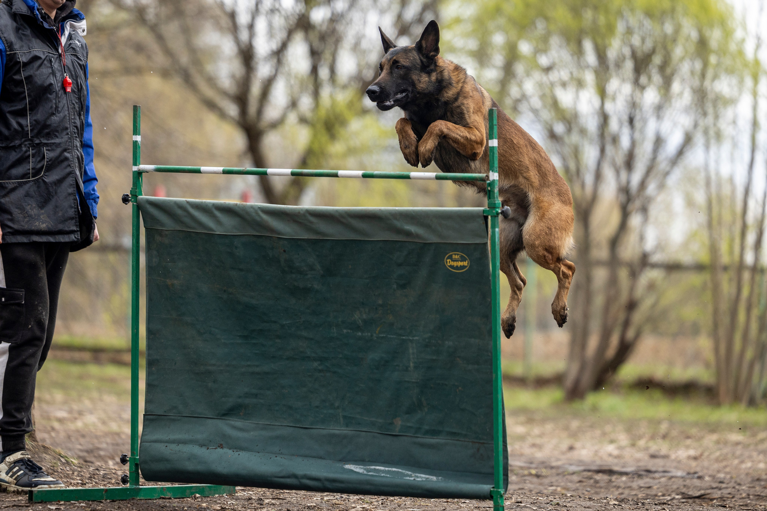 Квалификационные состязания по мондьорингу г. Вологда 11.05.24. Фотограф-анималист Анна Маринич