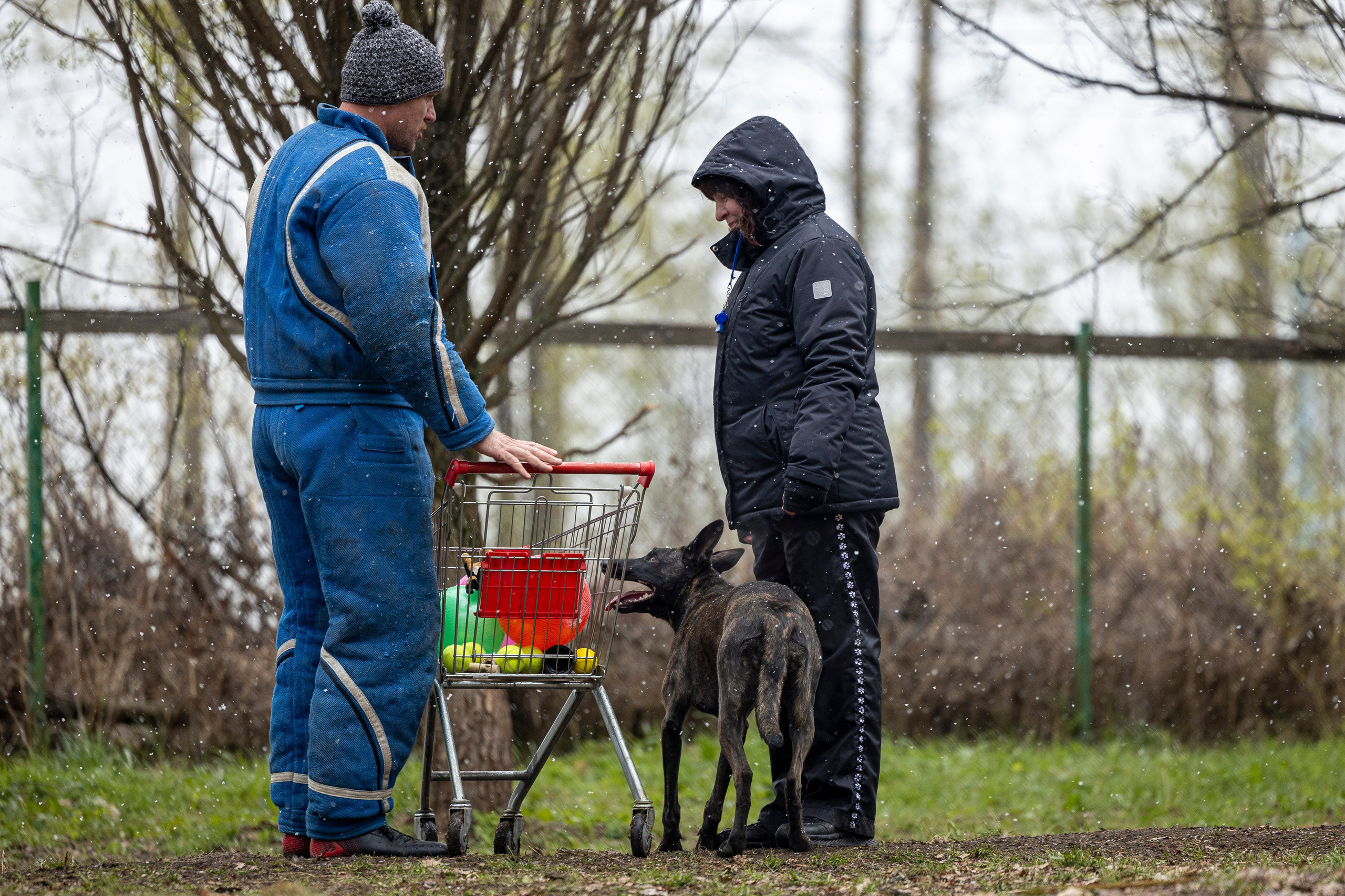 Квалификационные состязания по мондьорингу г. Вологда 11.05.24. Фотограф-анималист Анна Маринич