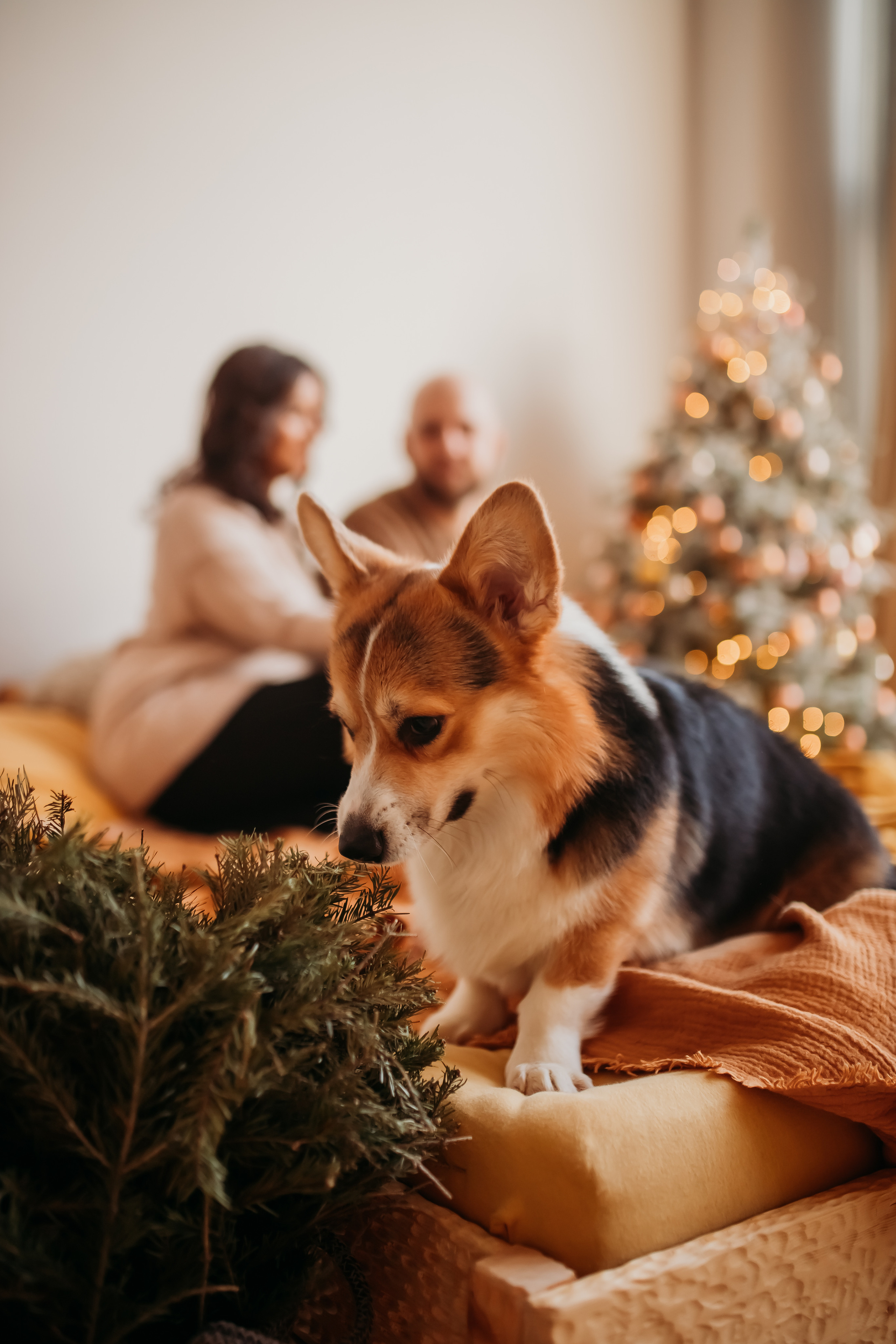 Альбина, Максим и Корж. Фотограф Тимербаева Алина г. Сургут