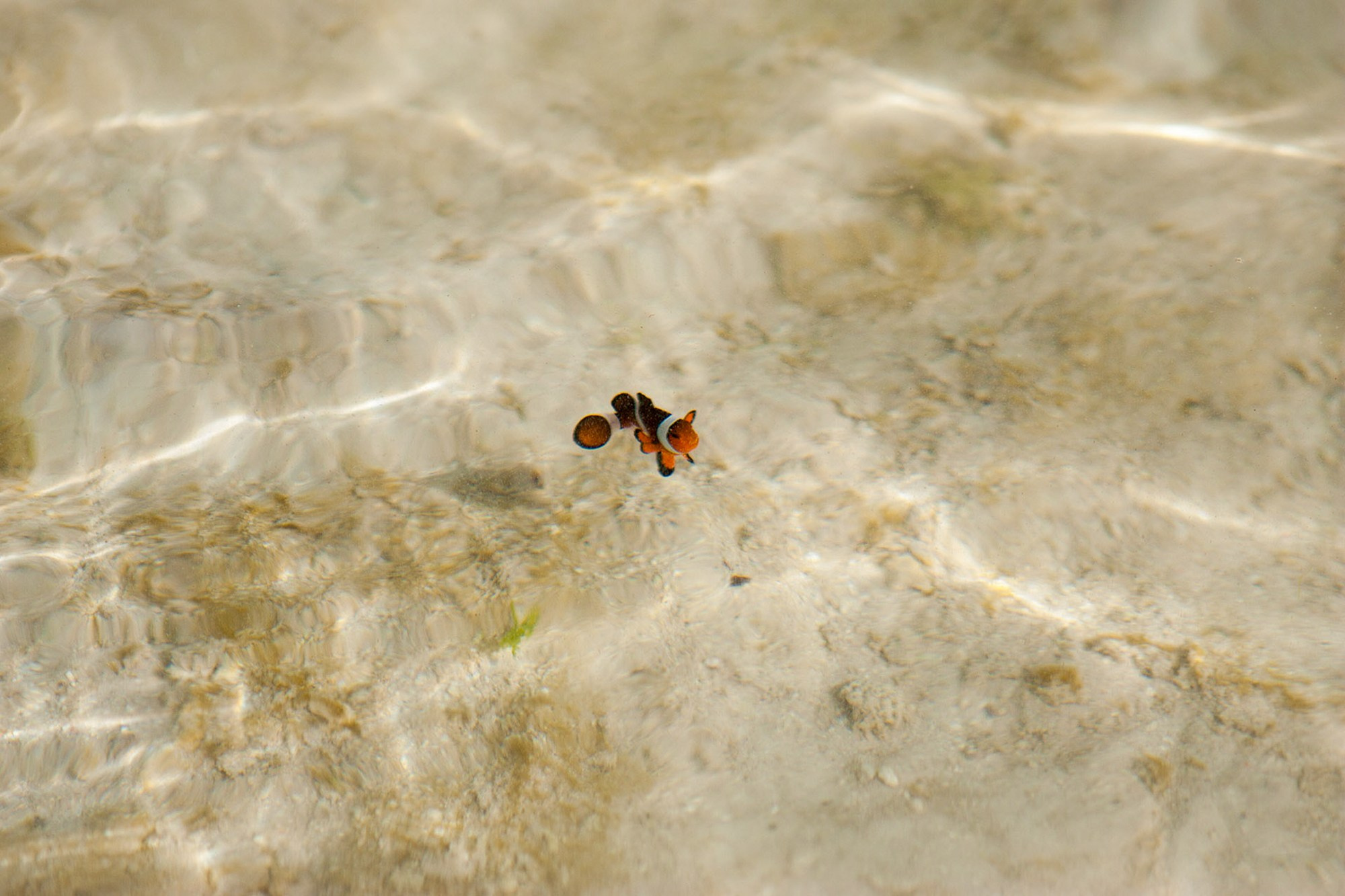 Фото и видео съемка мероприятия. Фото и видеосъемка
