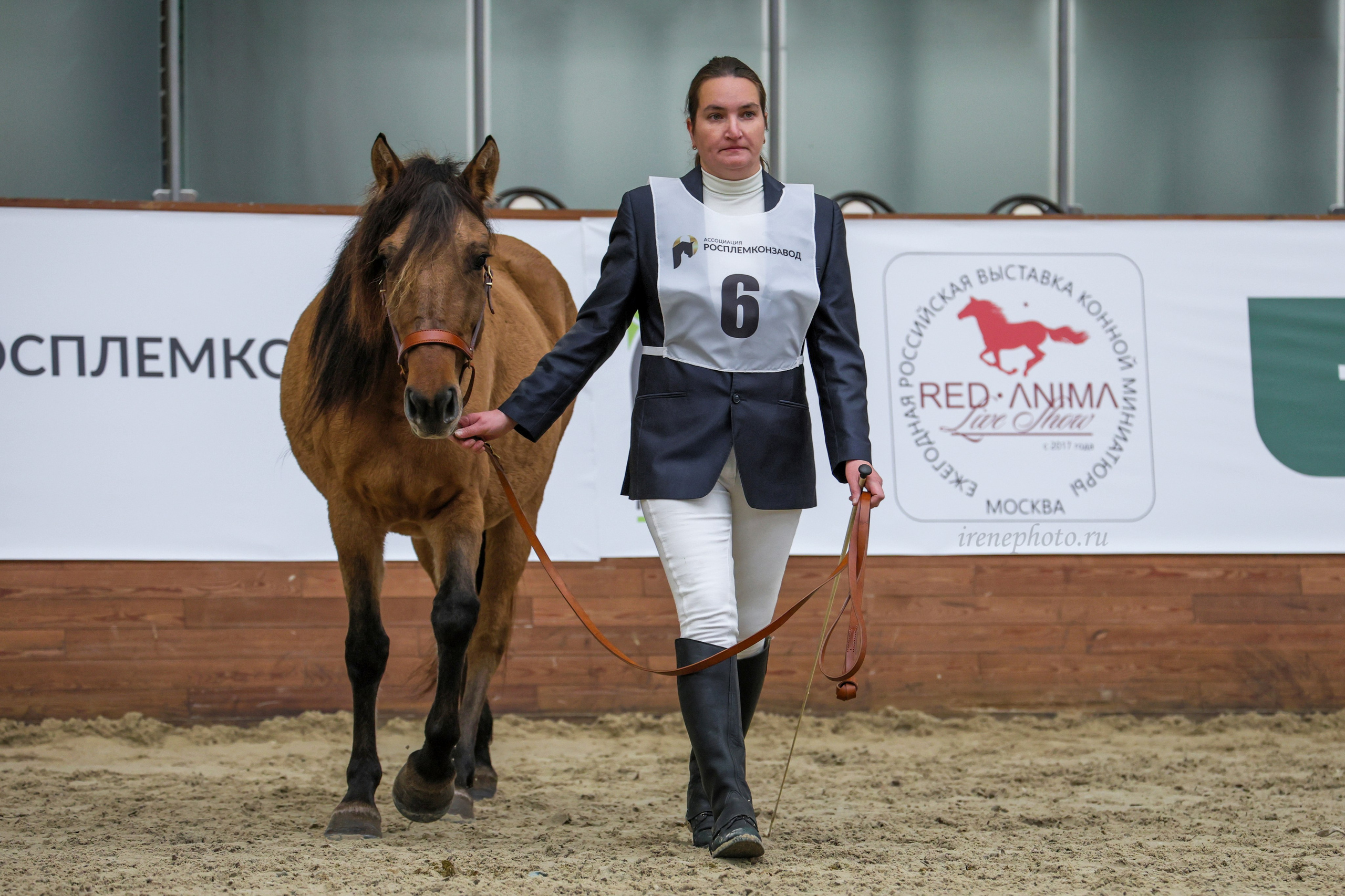 Конная Россия 2024. Irenephoto.ru