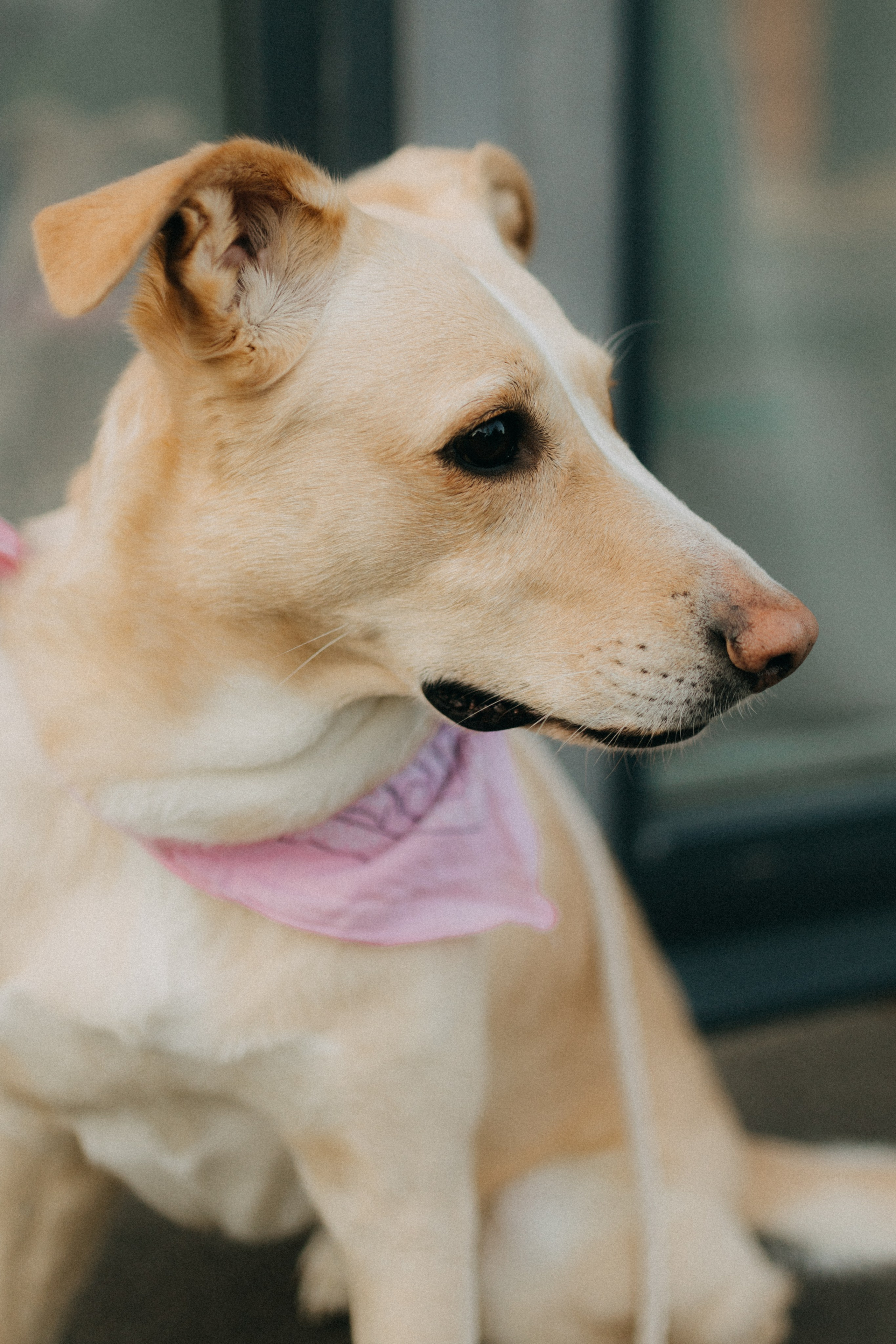 Настя, Давид, Рустам. Фотограф НОГИНСК, Москва, Анастасия Белая