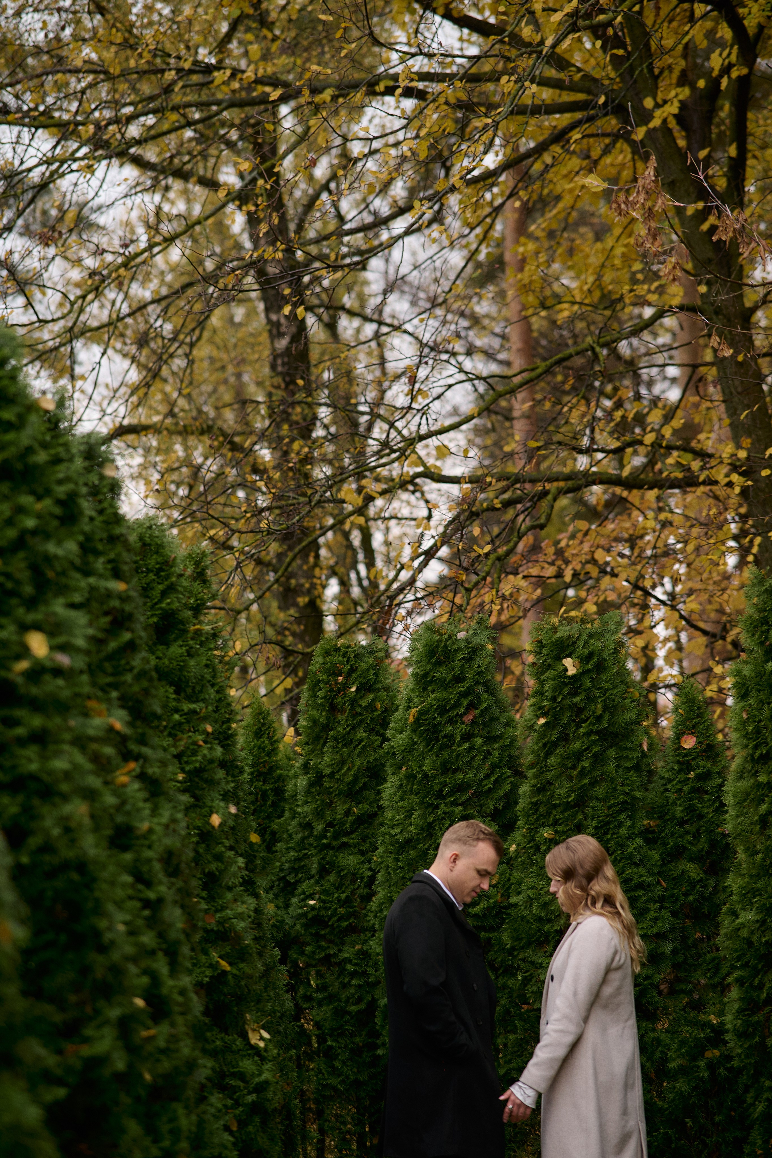 Серёжа и Вика. Семейный и свадебный lifestyle-фотограф в Москве Мария Петрова