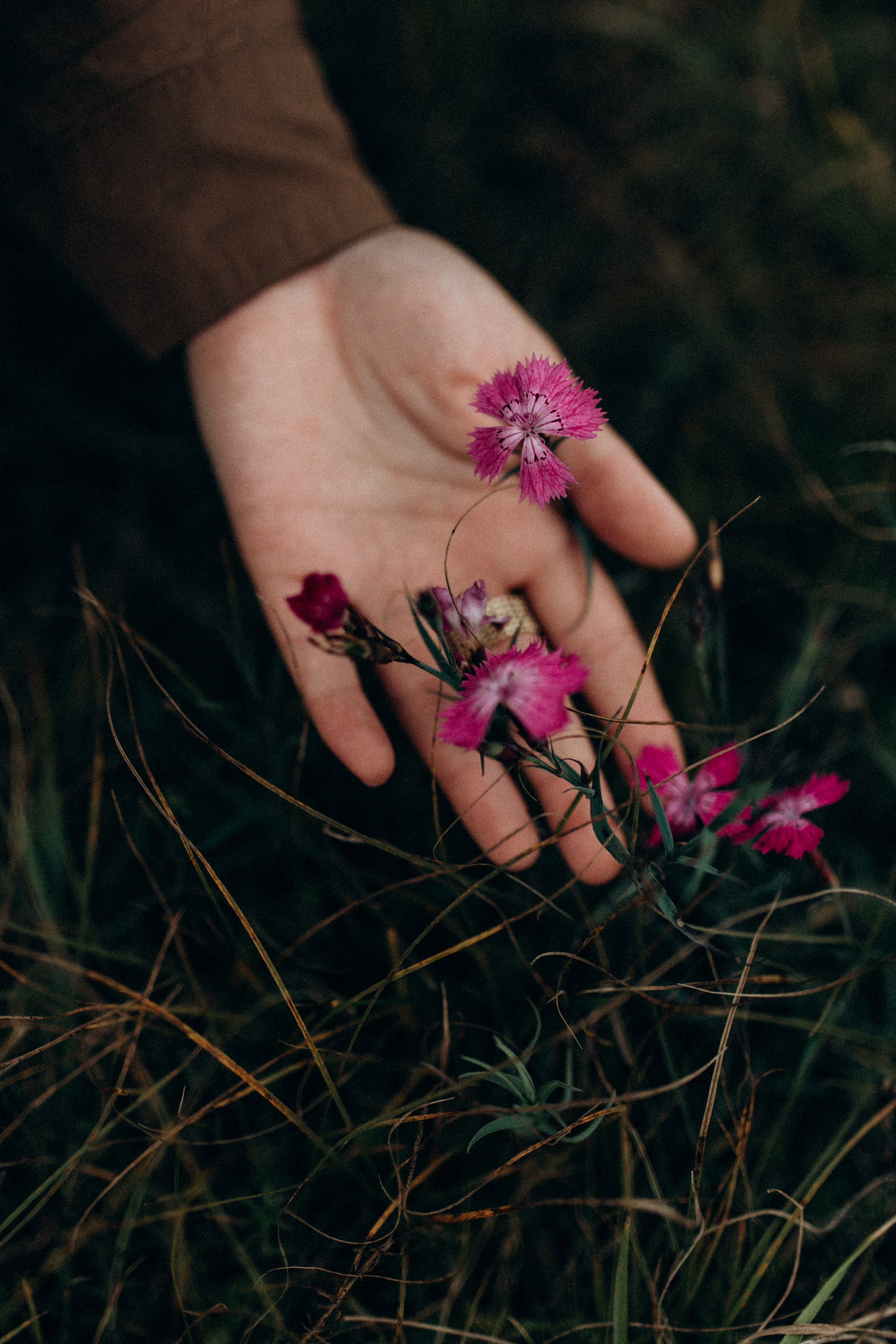 Диана. Фотограф НОГИНСК, Москва, Анастасия Белая
