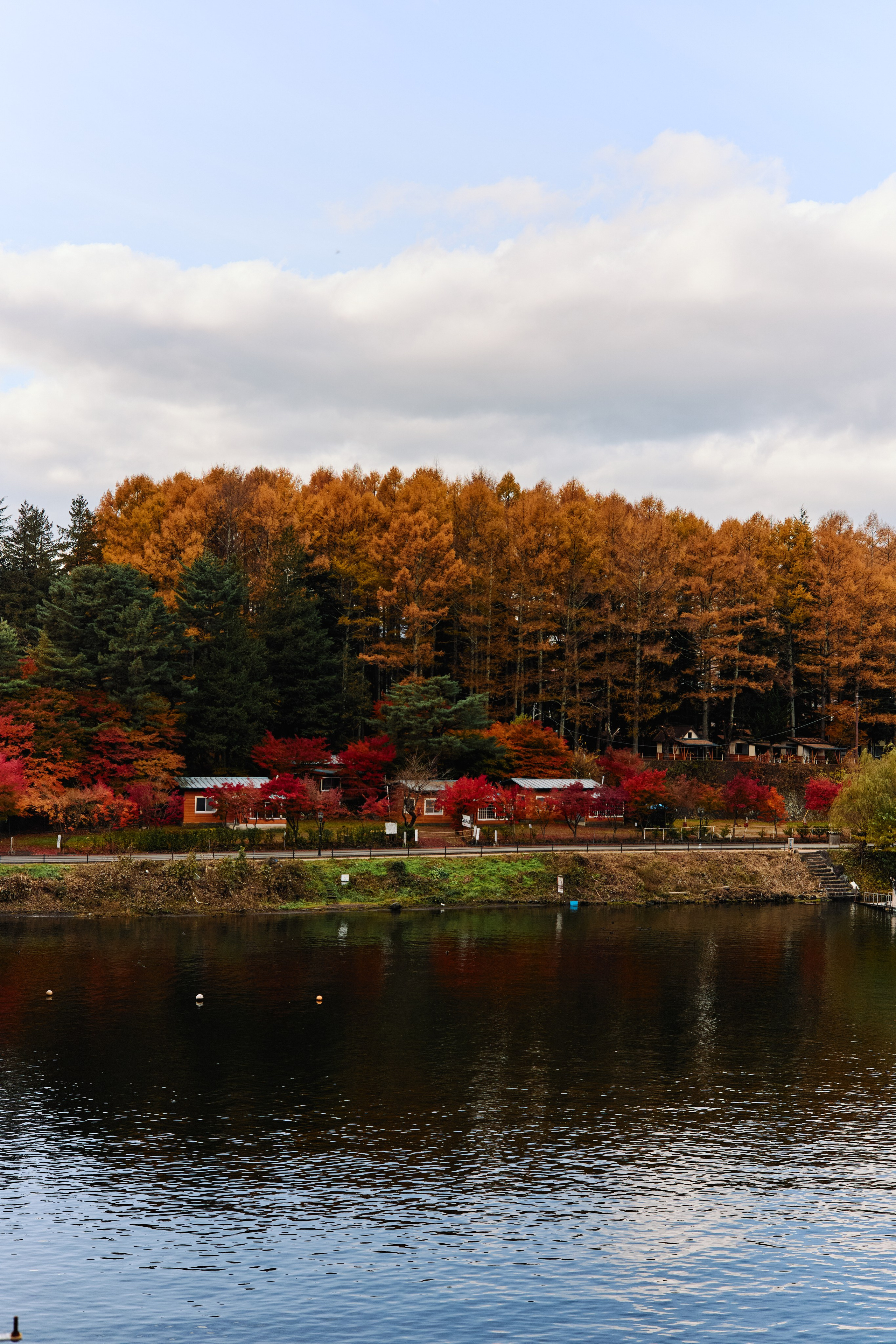 Япония. Профессиональный Фотограф во Владимире, в Москве и в Суздале — Полина Романычева
