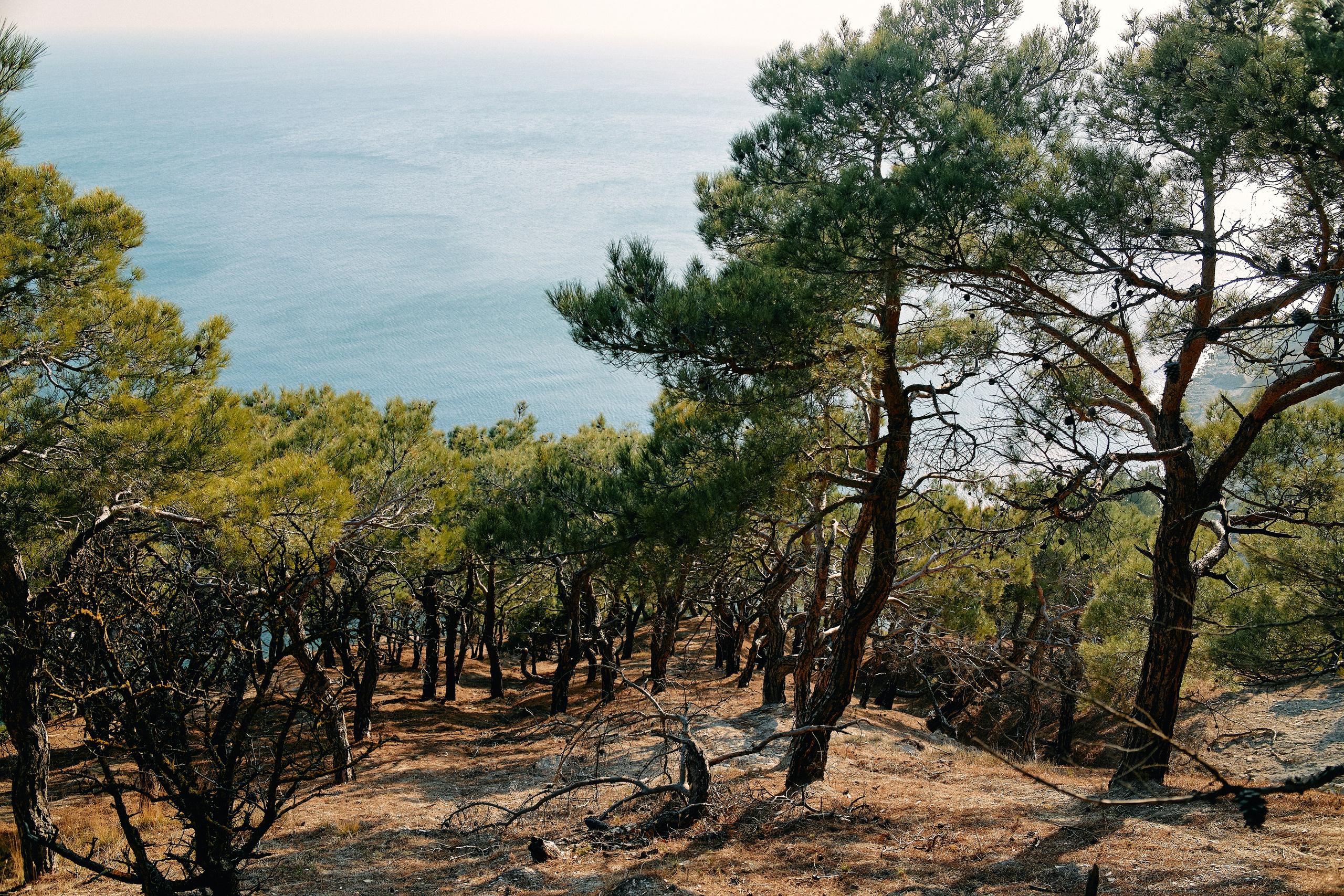 Юг России. Профессиональный Фотограф во Владимире, в Москве и в Суздале — Полина Романычева