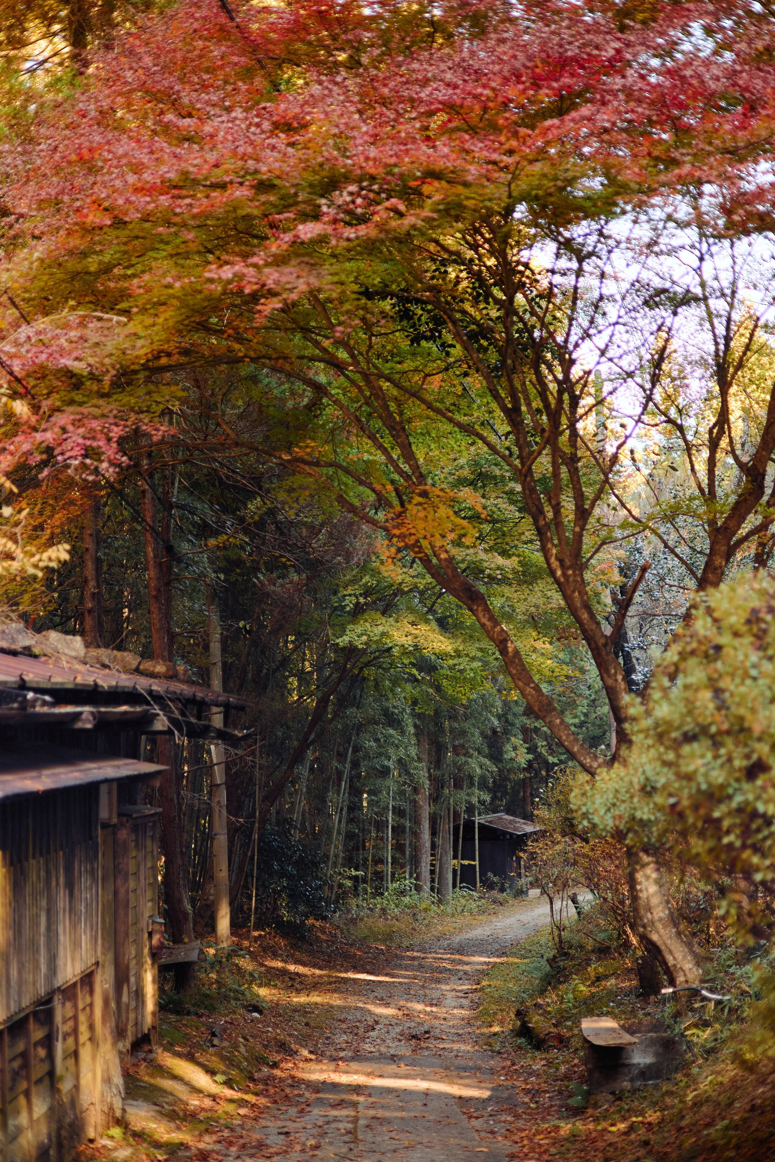 Япония. Профессиональный Фотограф во Владимире, в Москве и в Суздале — Полина Романычева