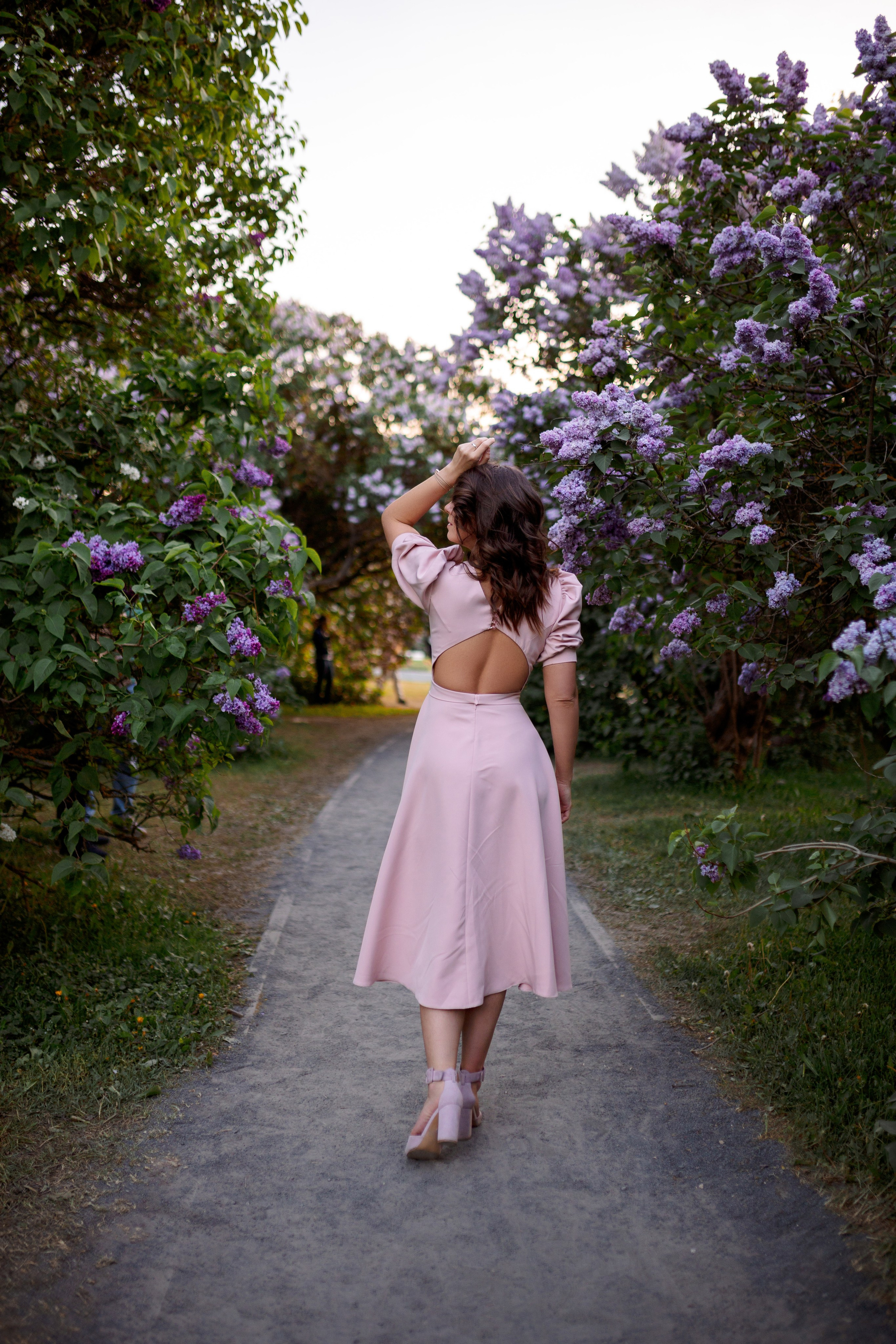 Цветение в сиреневом саду. Главная