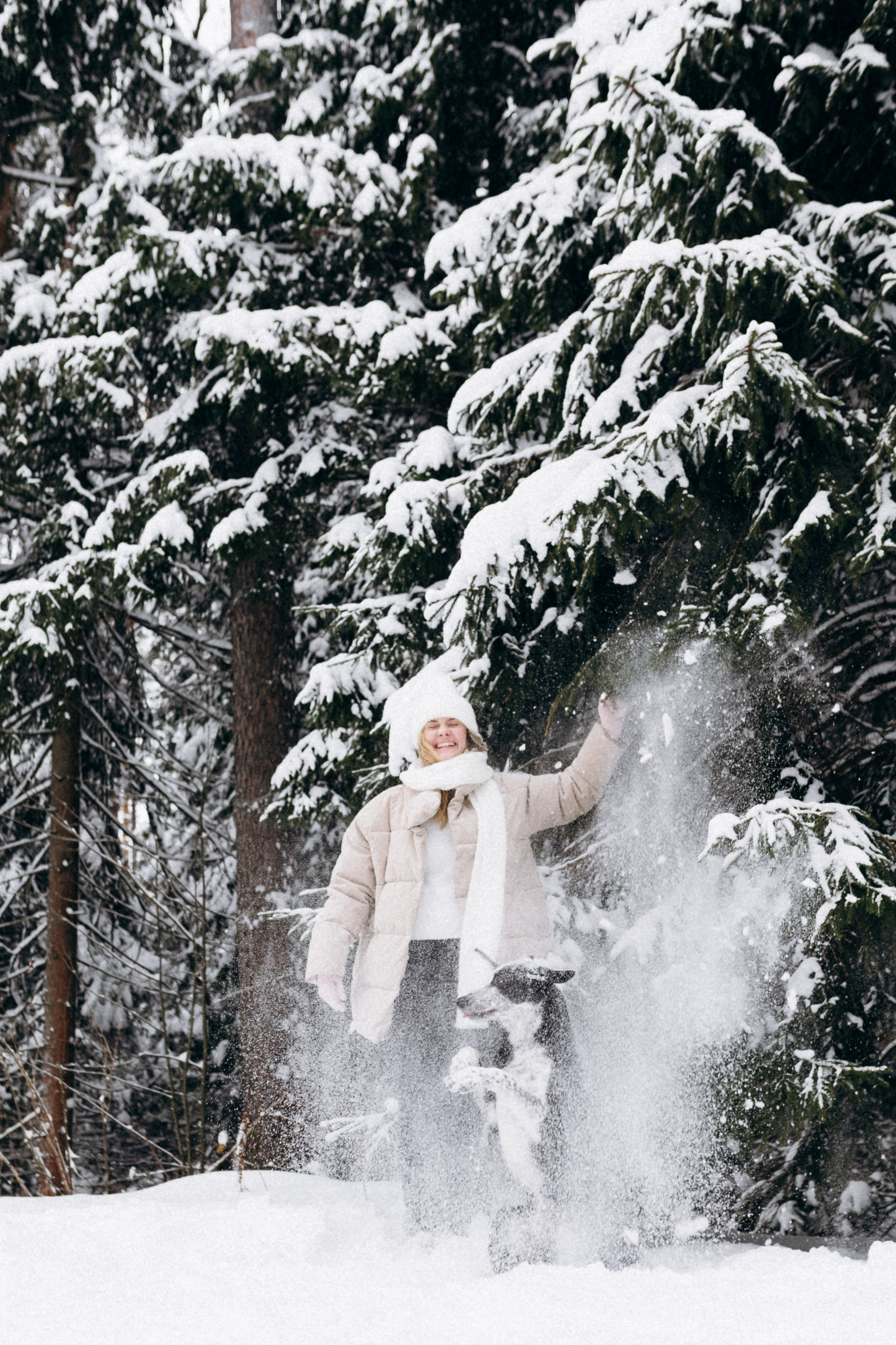 Аня и Милан. Фотограф анималист в Москве Ольга Агушева