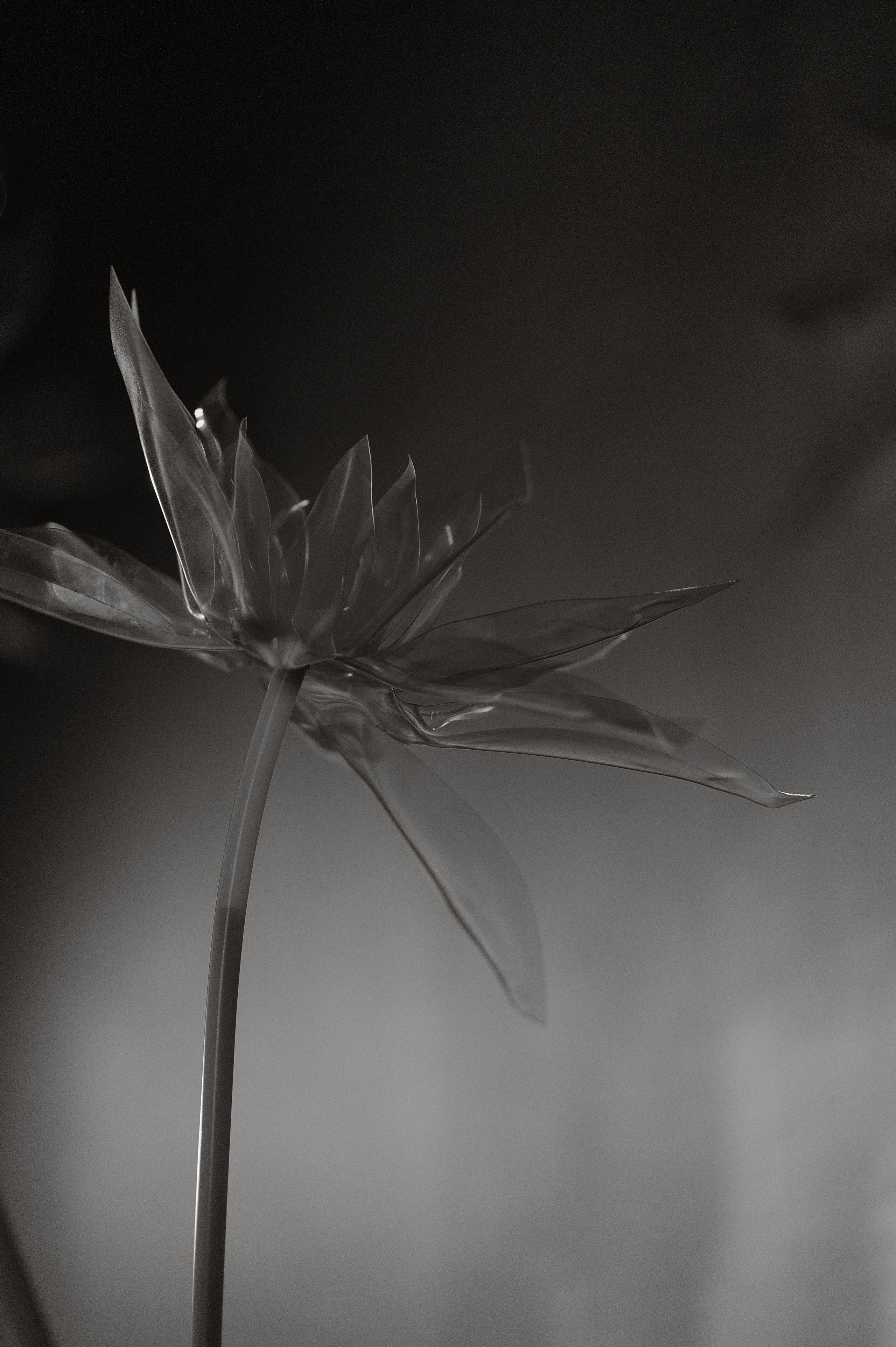 Паша и Ангелина. Свадебный фотограф и видеограф