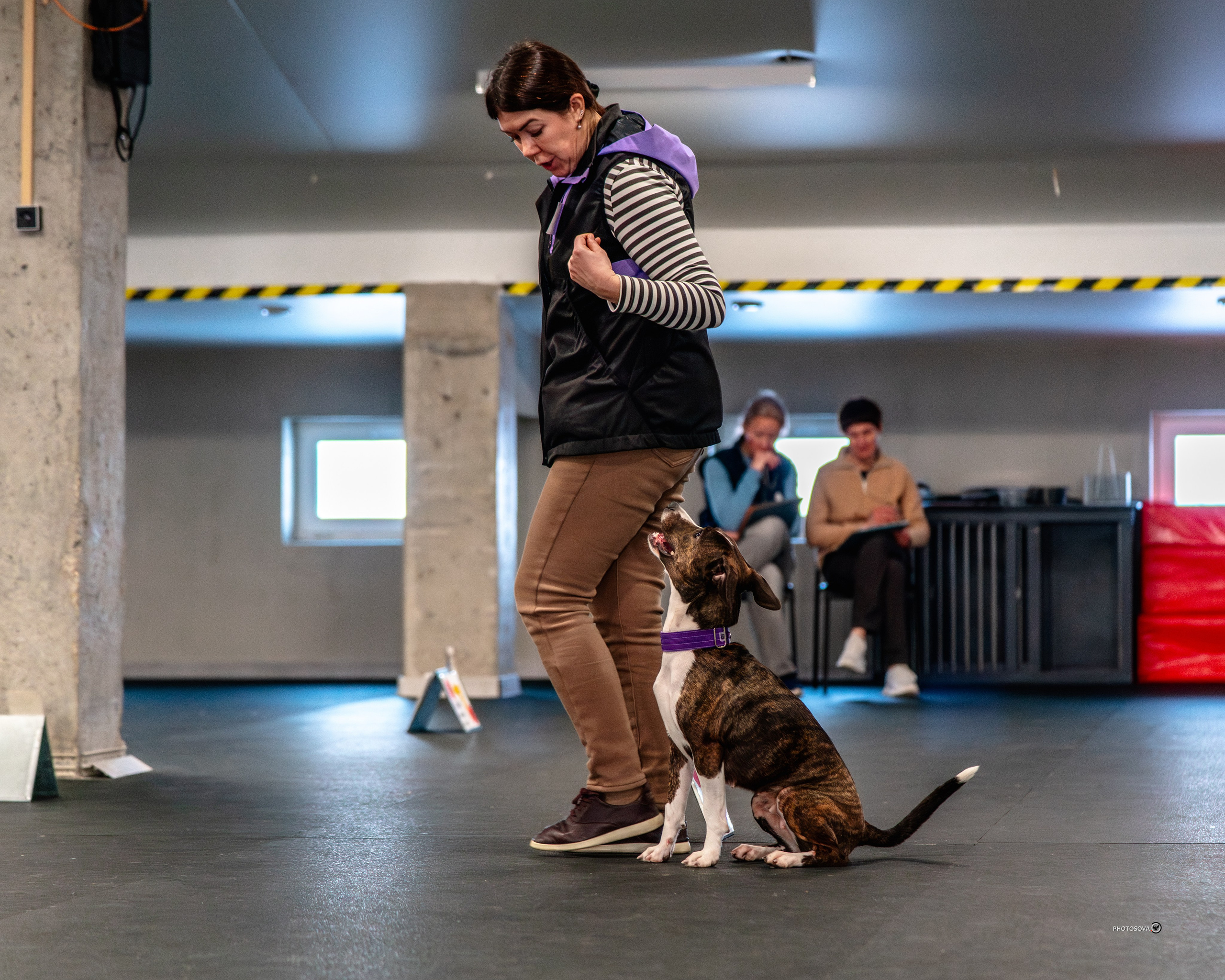 ТЫ И Я (соревнования по ралли-обидиенс). Фотограф-анималист, семейный фотограф в Москве и Подмосковье. Фотосъёмка кинологических дисциплин