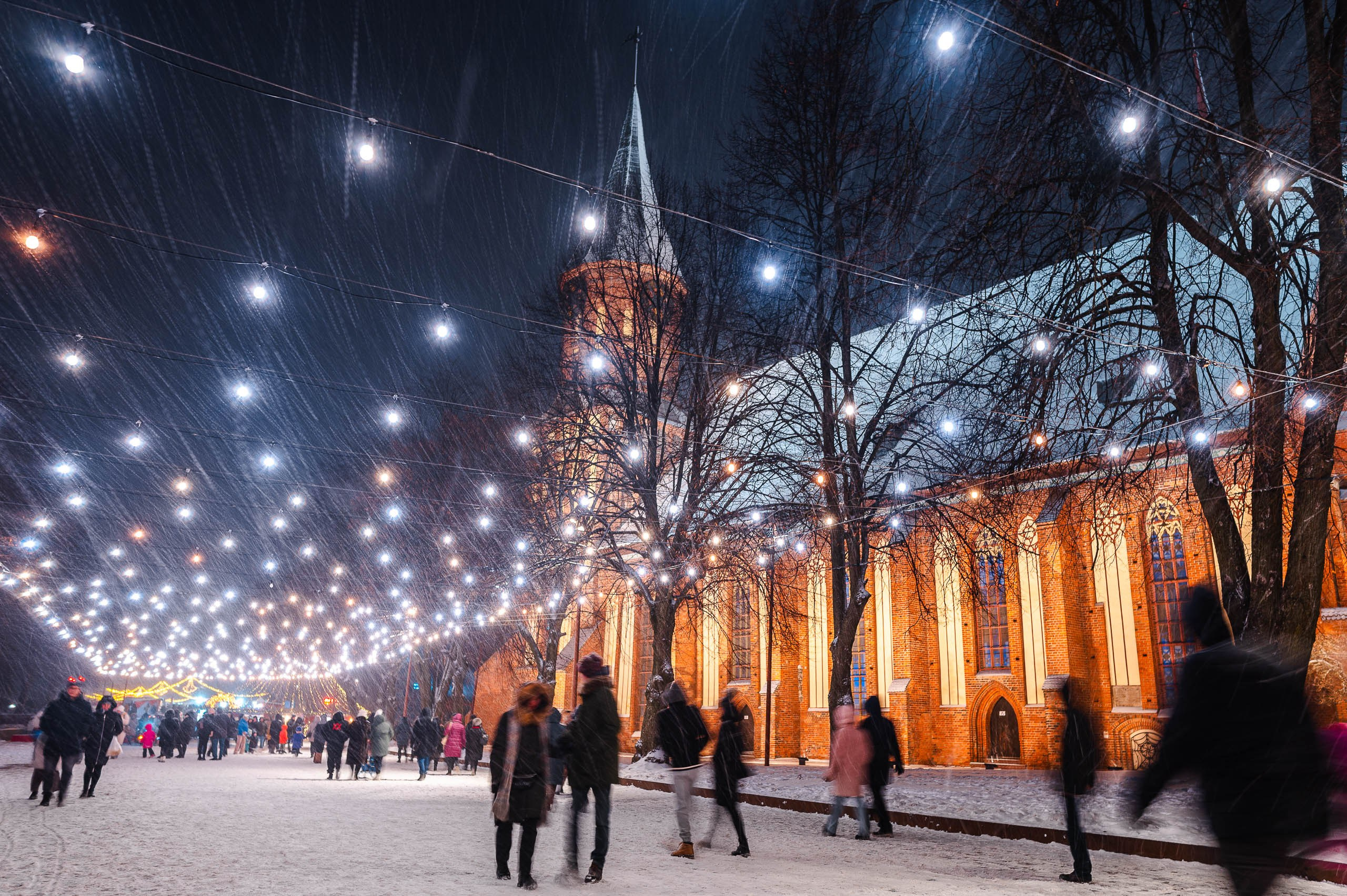 Зимняя Калининградская область. Фотосъемка и видеосъемка в Калининграде Liveemotion.pro