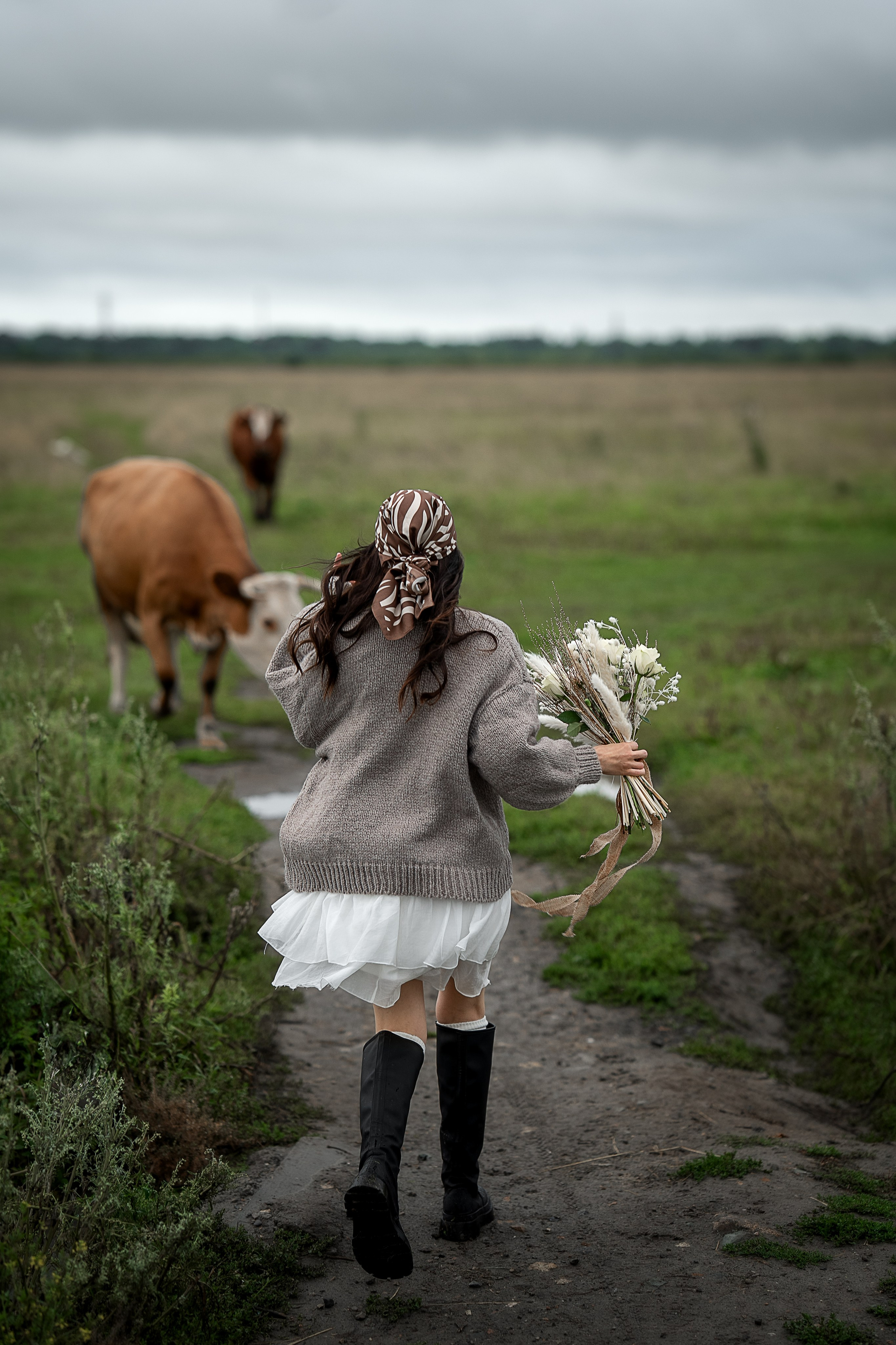 Алиса. Главная