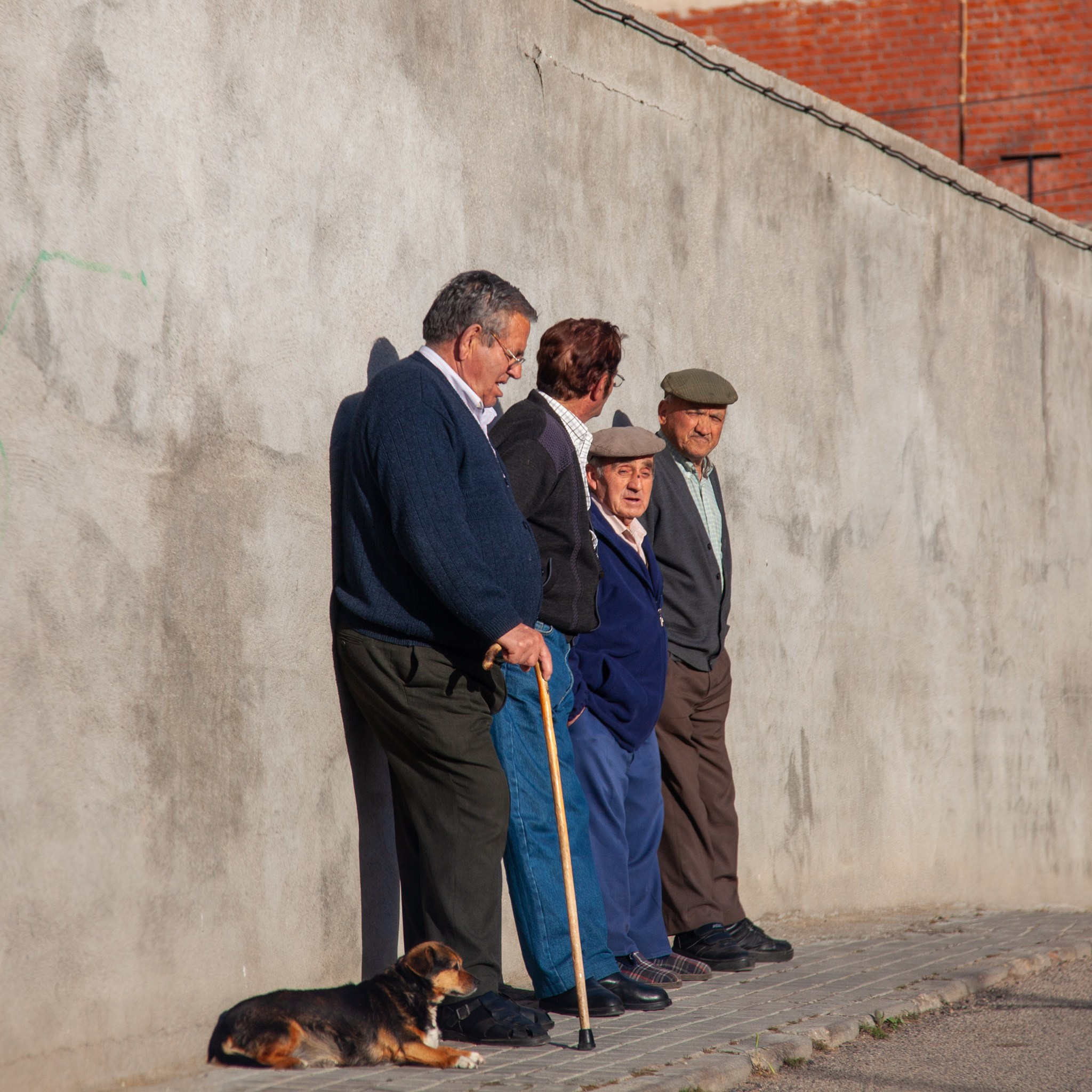 Consuegra España Molinos de viento de Don Quijote en la provincia de Toledo, Испания 2010. Фотограф Василий Буланов