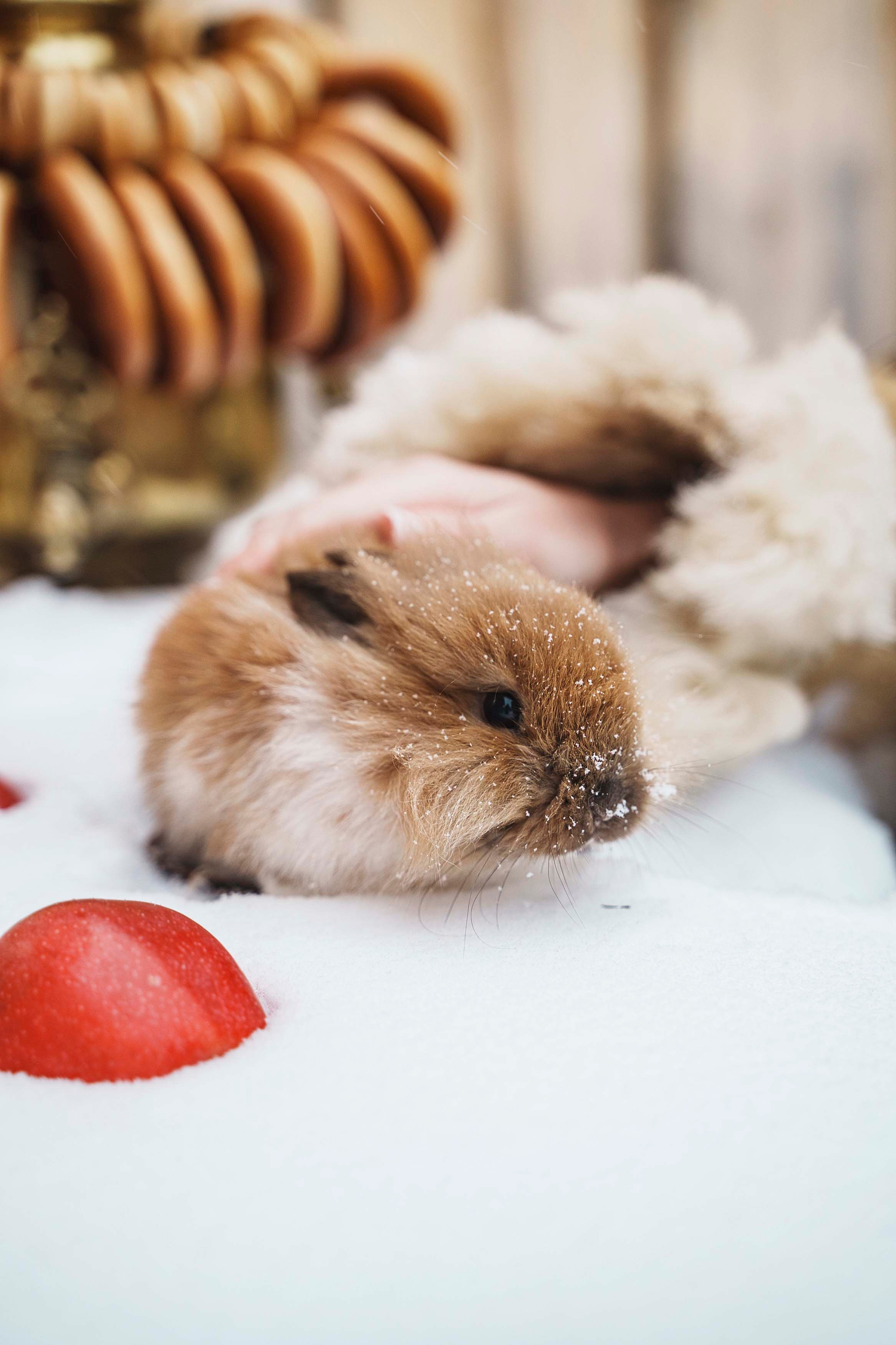 Банный комплекс «Пар-Парок». Фотограф Казань