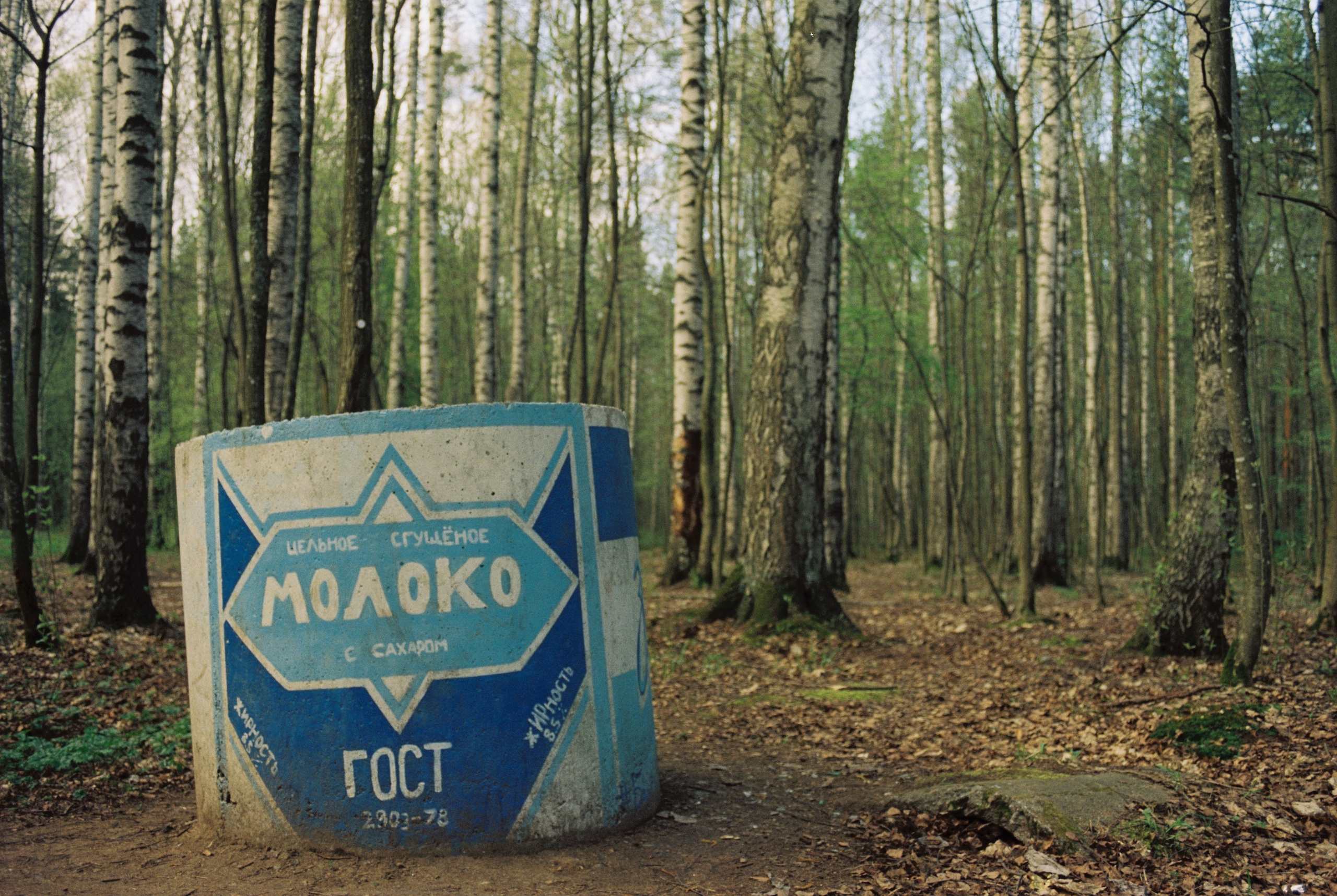 Плёночная весна 2025. Илья Михачёв Фотограф ПРО людей