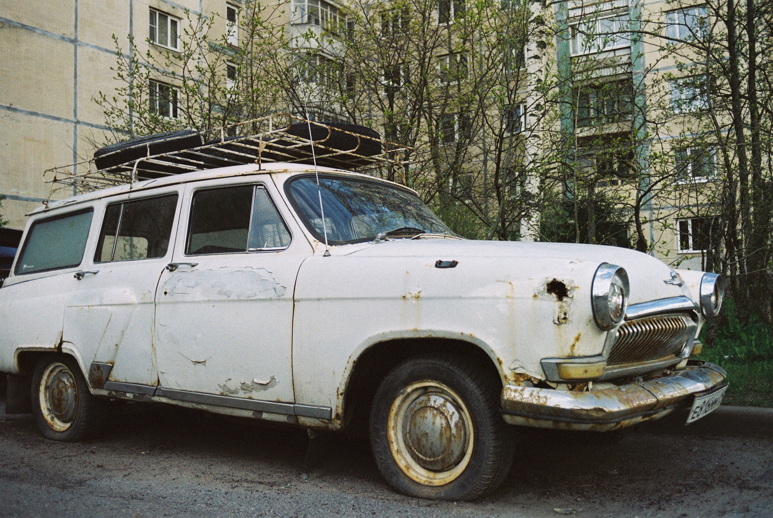 Плёночная весна 2025. Илья Михачёв Фотограф ПРО людей