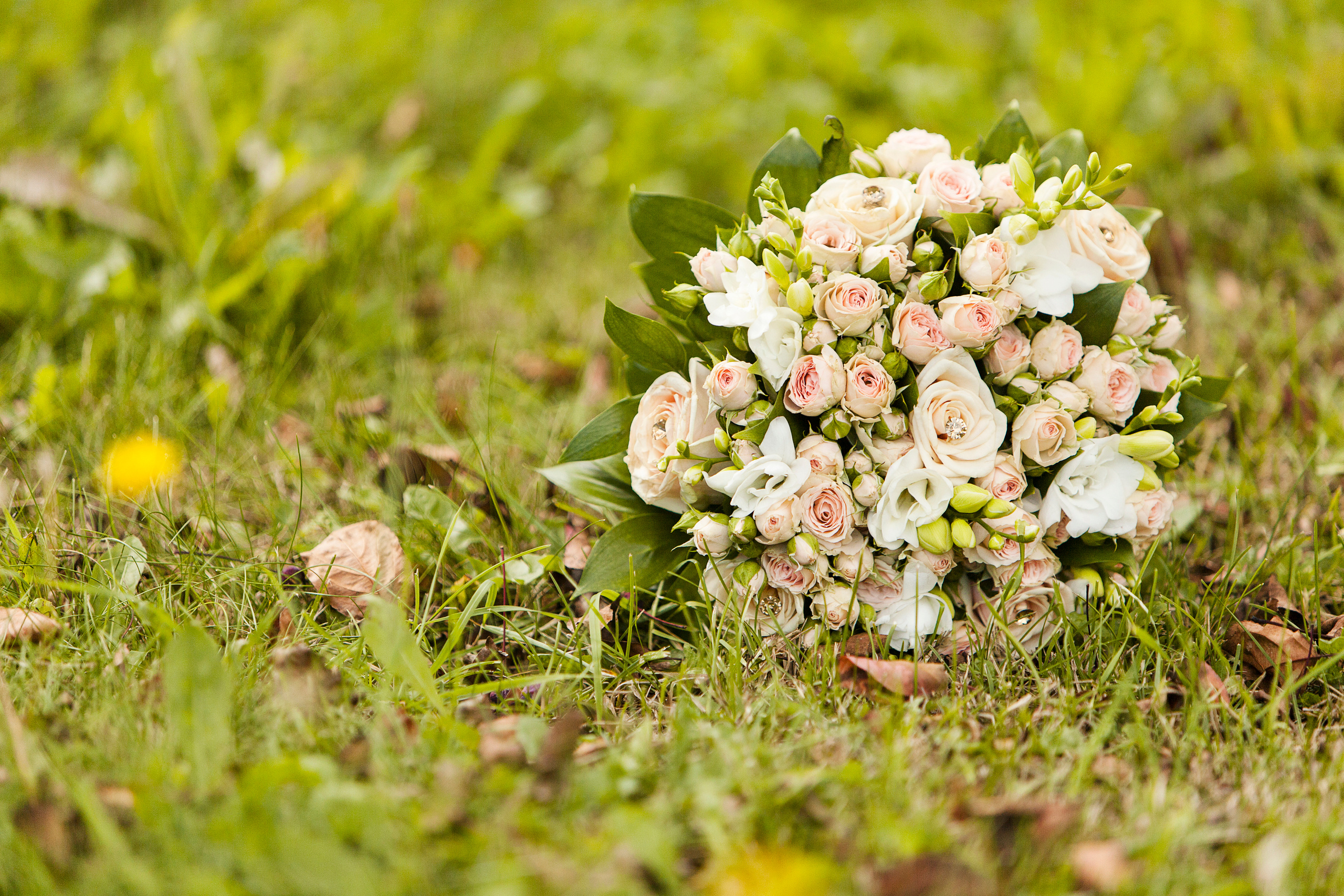 Алекс и Ника. Свадебный и репортажный фотограф Виталий Кислицын