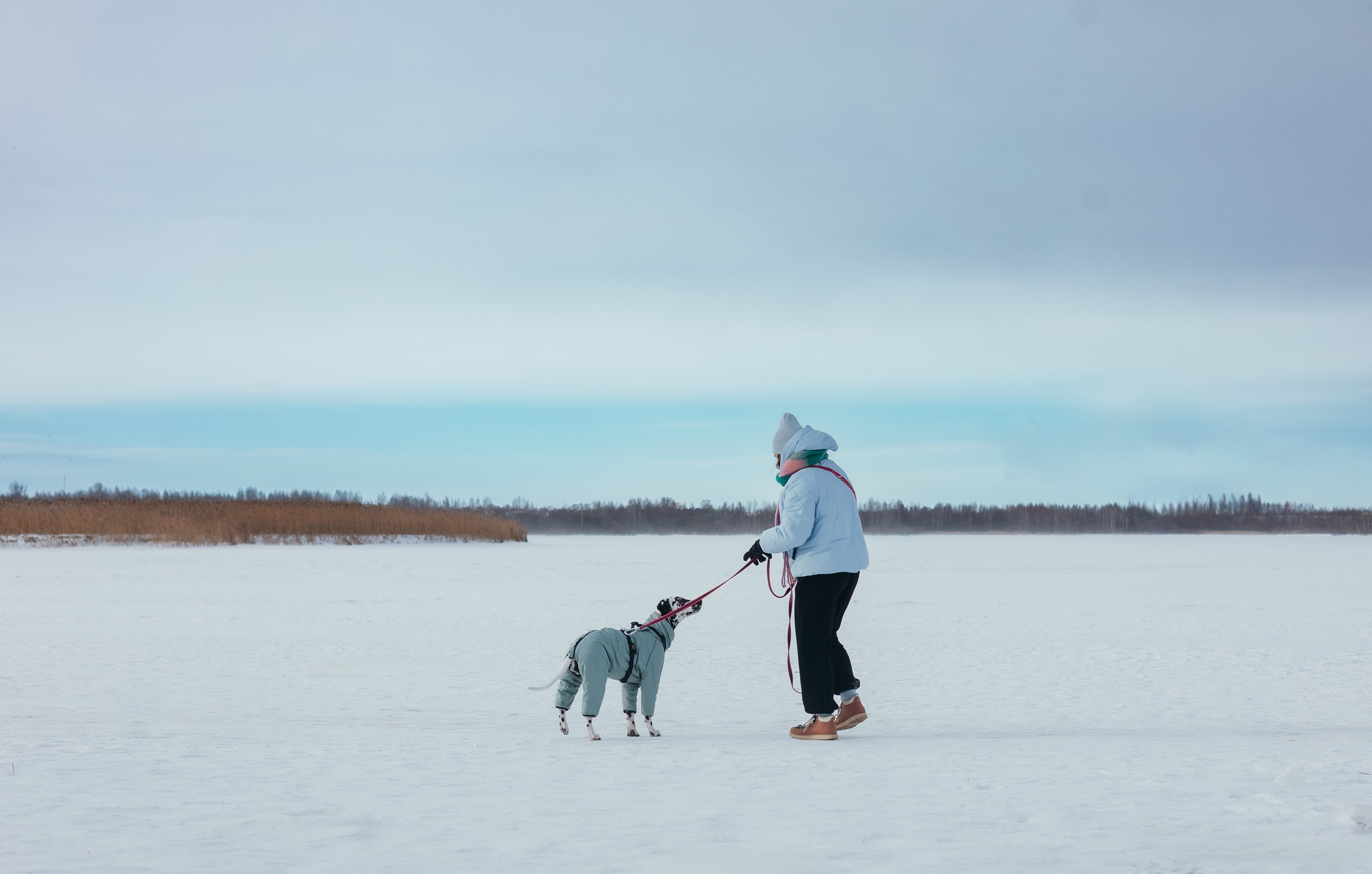 Таня и Лора. Фотограф животных Евгения Верцинская