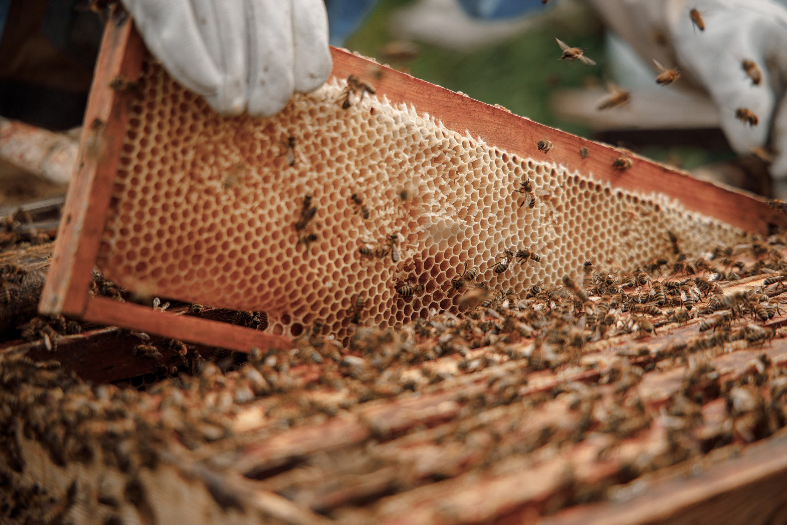 Верность делу. Фотограф в Красноярске Нерозя Александр. Пейзаж, природа, портрет