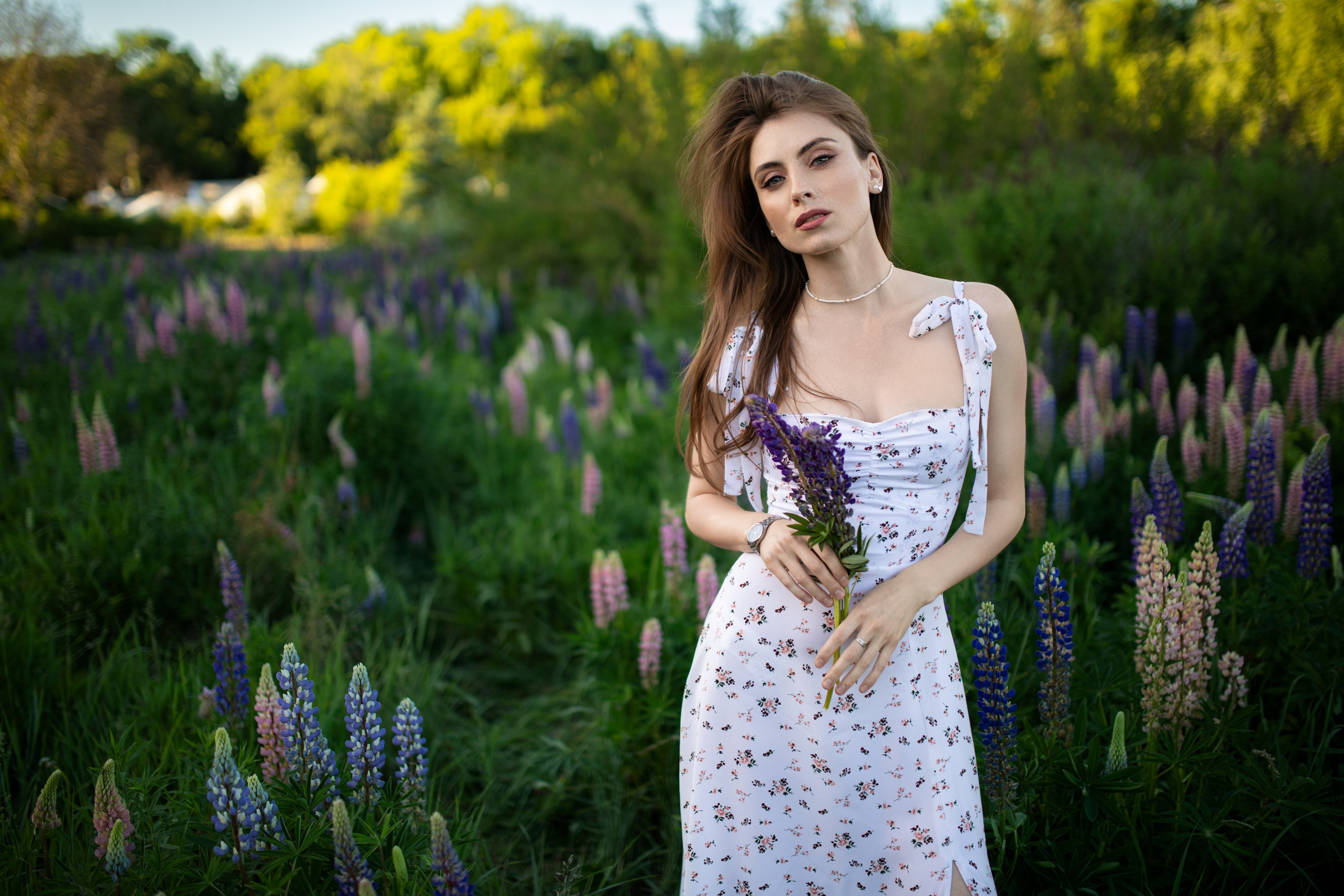 Фотосессия с Надеждой с люпинами в формате «для себя». Дмитрий Шульгин, портретный фотограф в Воронеже
