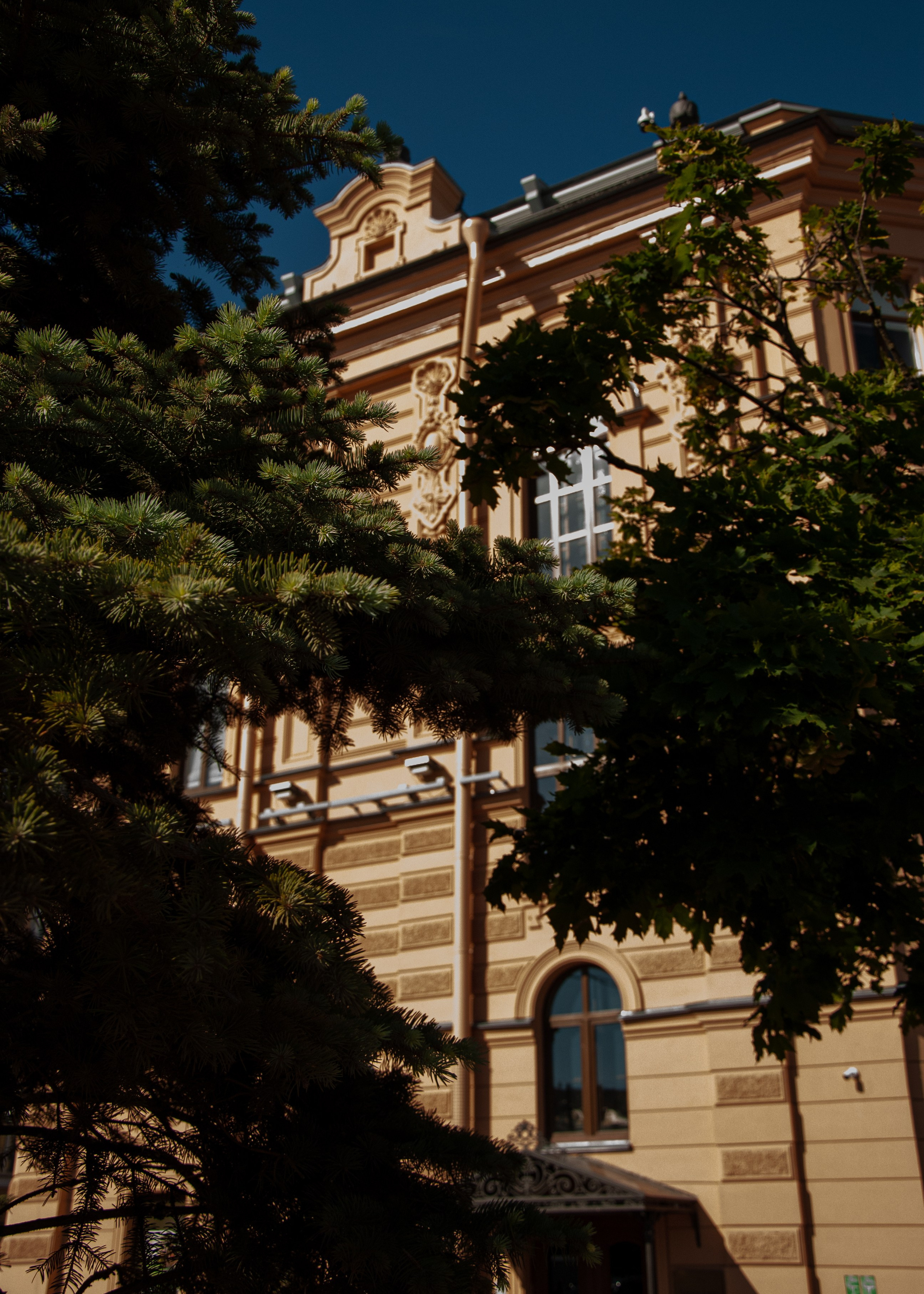 Питер. Портретный фотограф DanilNabody