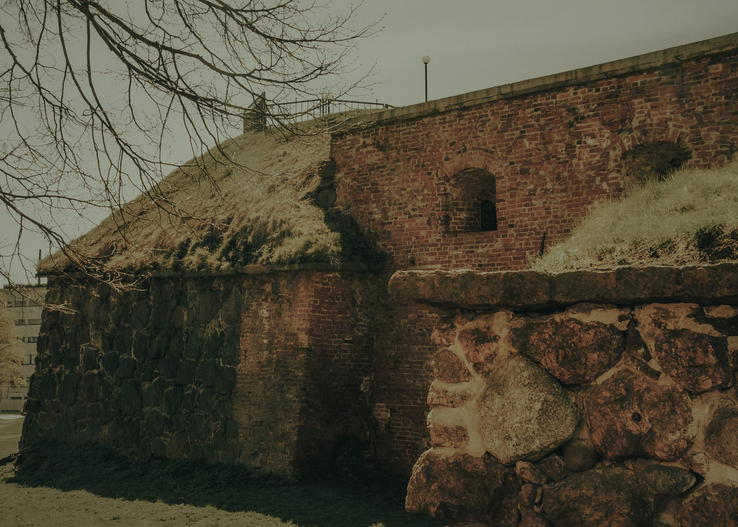 Выборг. Портретный фотограф DanilNabody