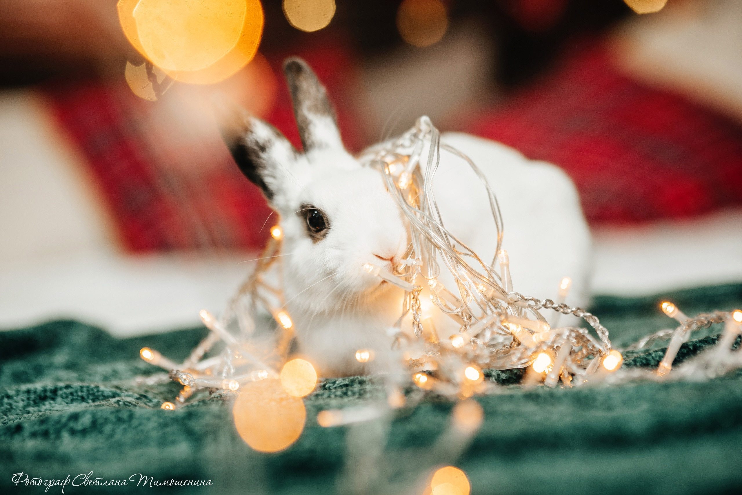 Отзывы. Выпускные альбомы. Южноуральск