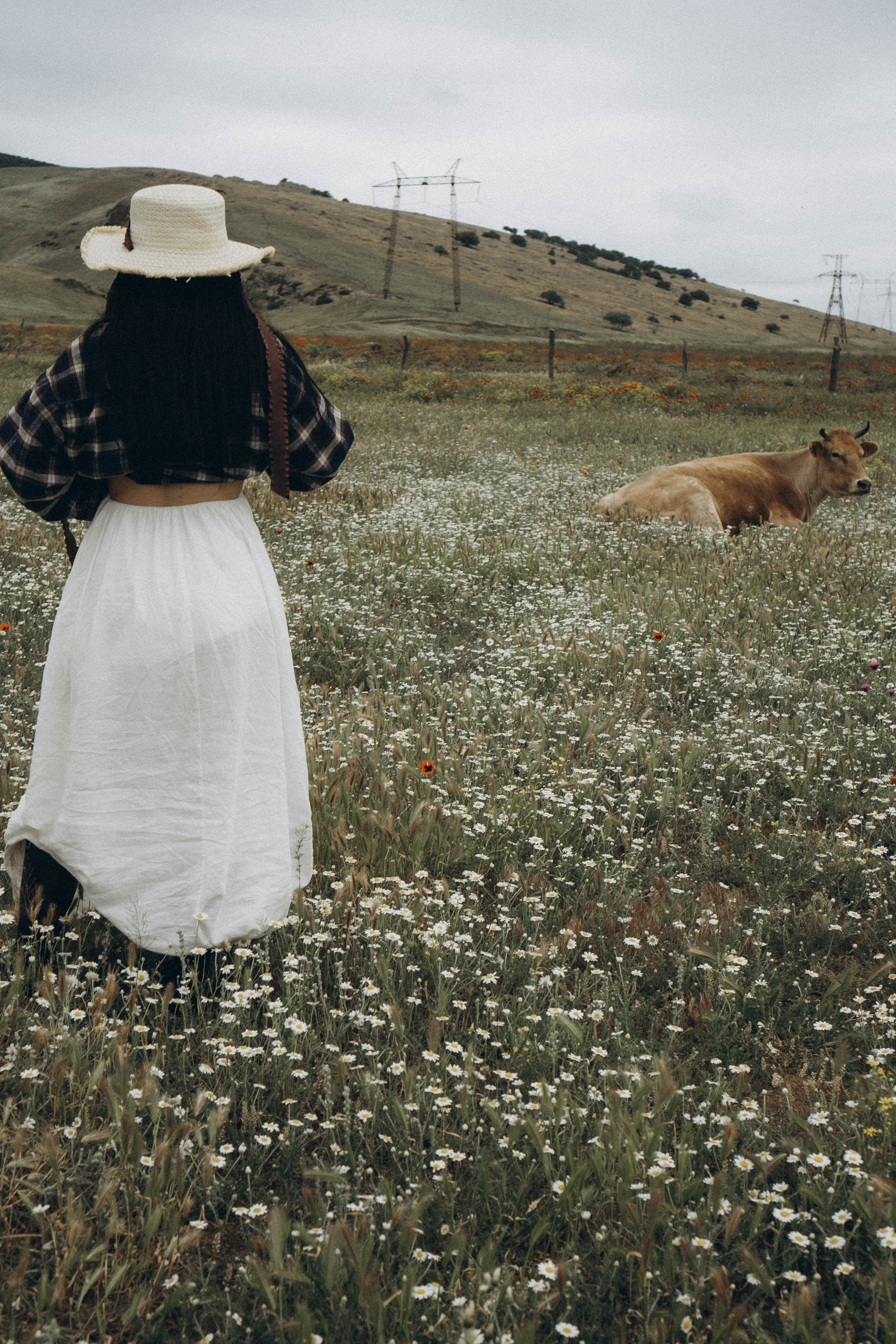 Маковое поле. Профессиональный фотограф, Санкт-Петербург — Виктория Богомолова