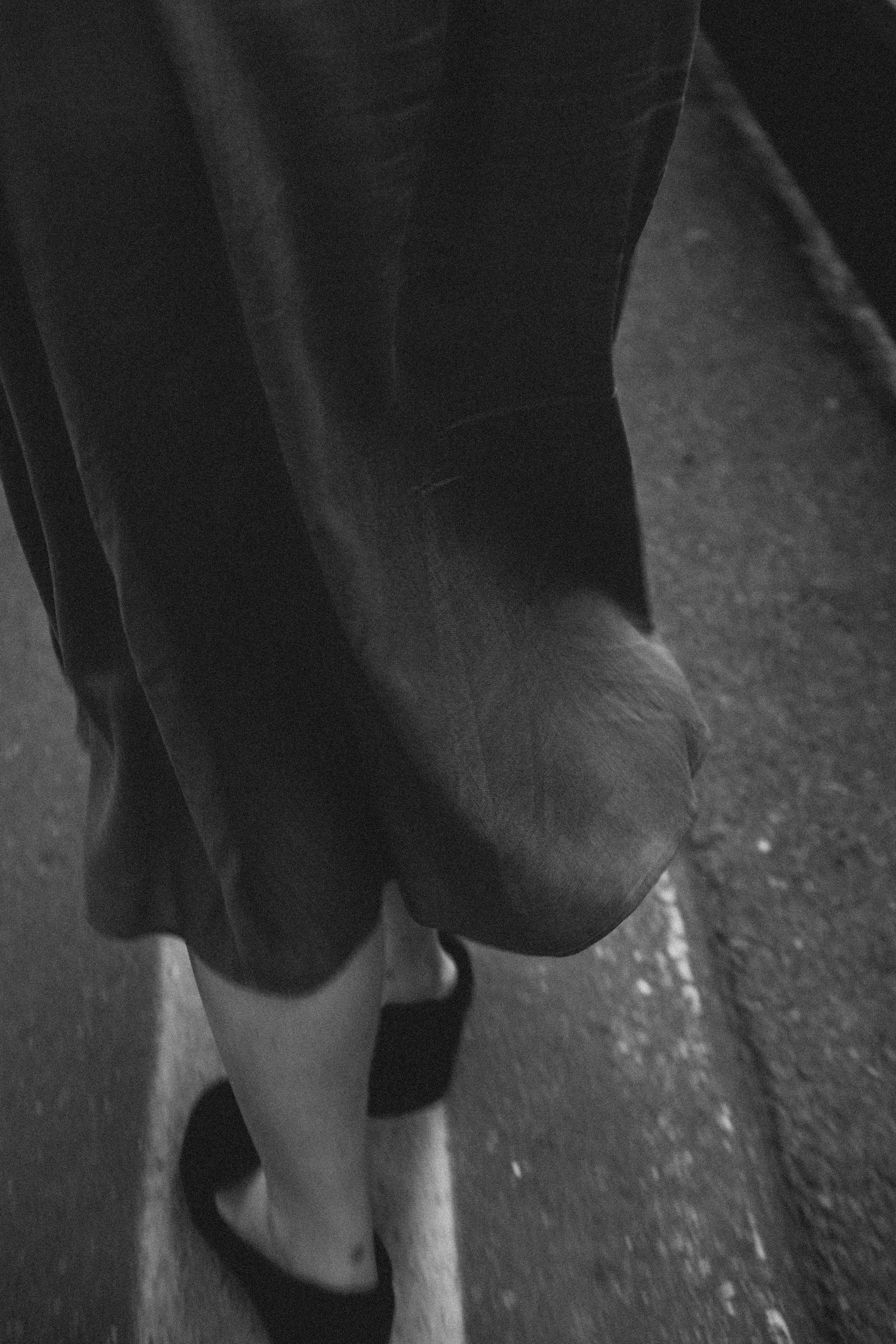 ПРЕДЛОЖЕНИЕ. Профессиональный фотограф, Санкт-Петербург — Виктория Богомолова