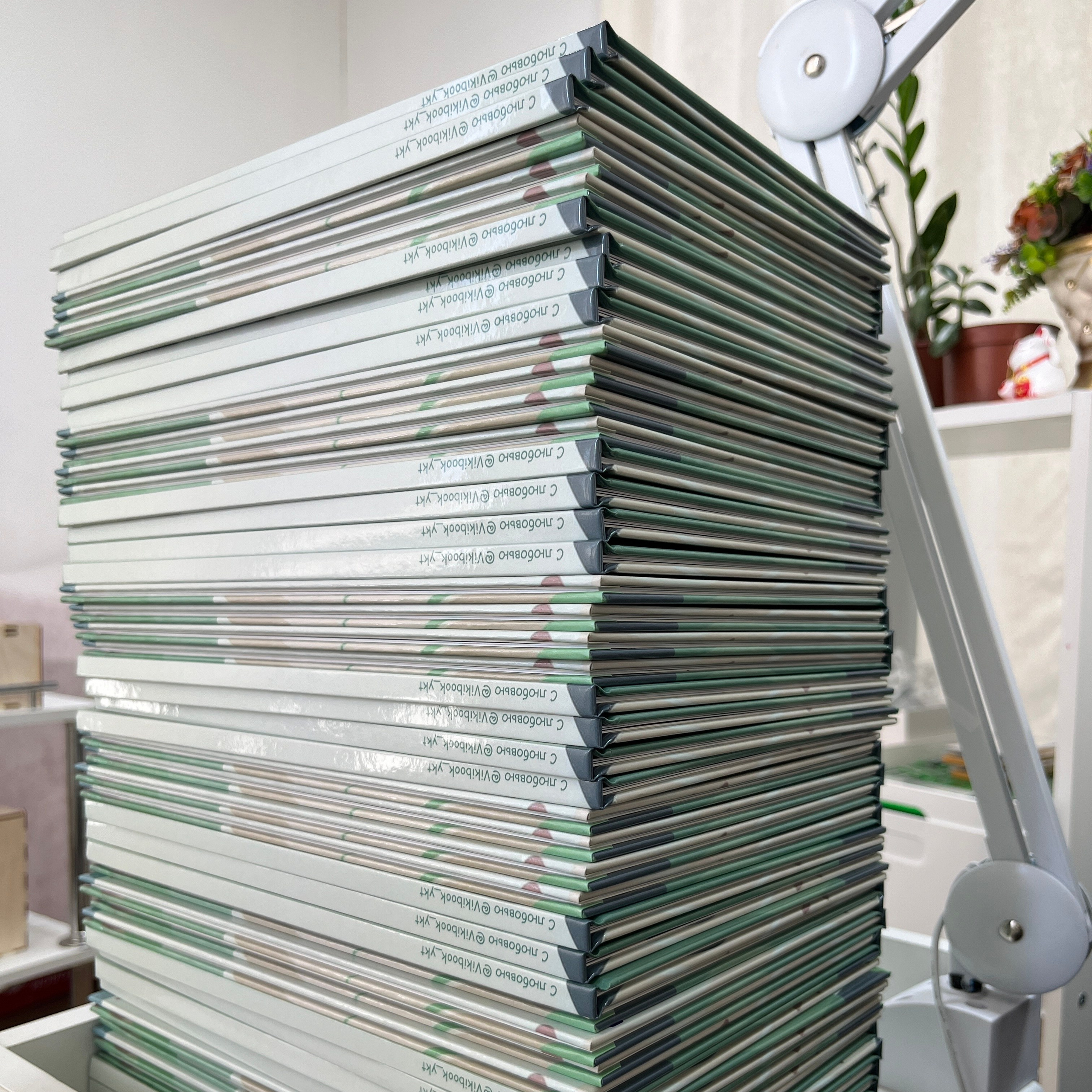 Премиум 20×28 — 2 разворота. ФОТОГРАФ в Якутске Сардана Баишева