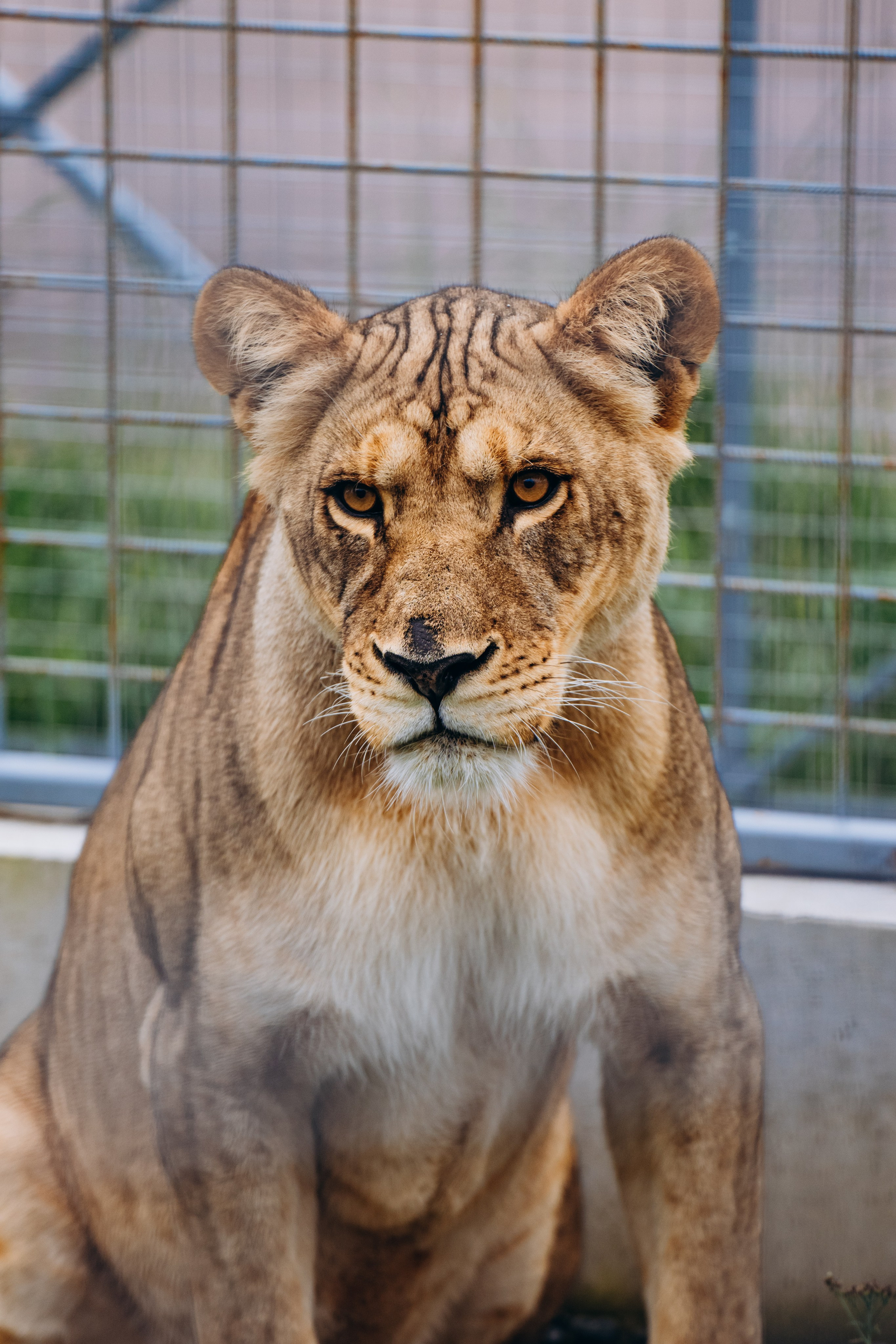 СЕВЕР. Event фотограф Степанова Александра