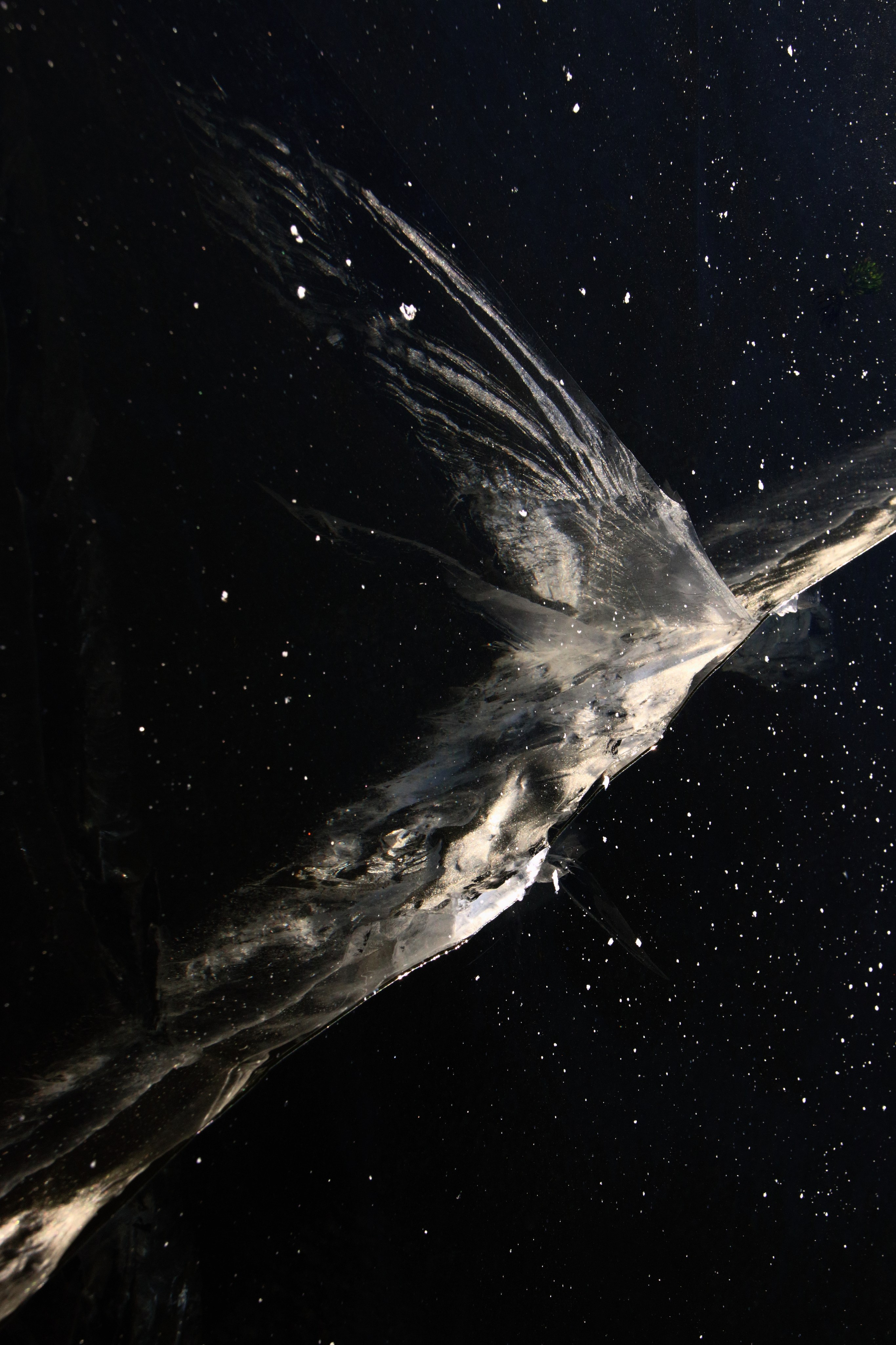 2016— Гран-при. Фотообъединение Самарского областного отделения Союза журналистов России