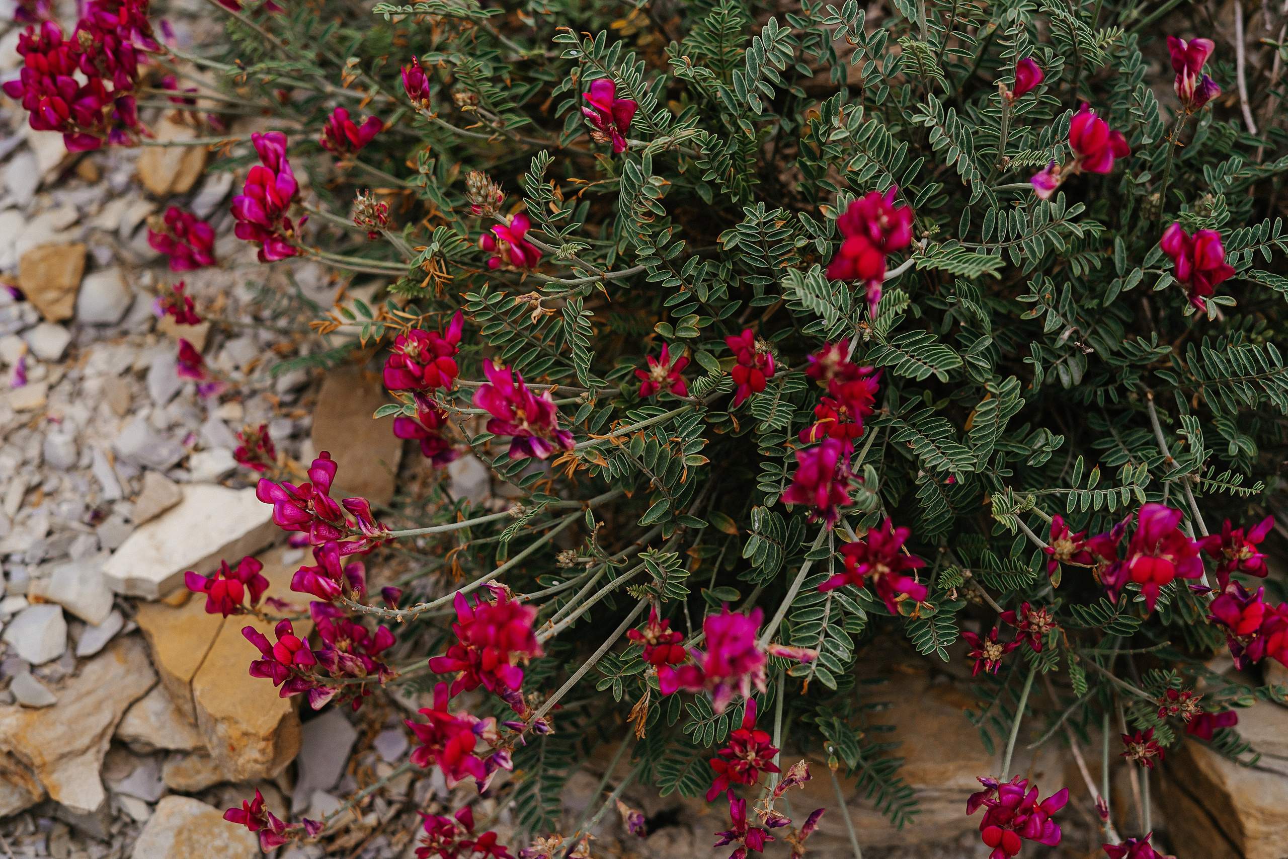 Море. Свадебный и семейный фотограф/видеограф в Краснодаре Наталья Осинская