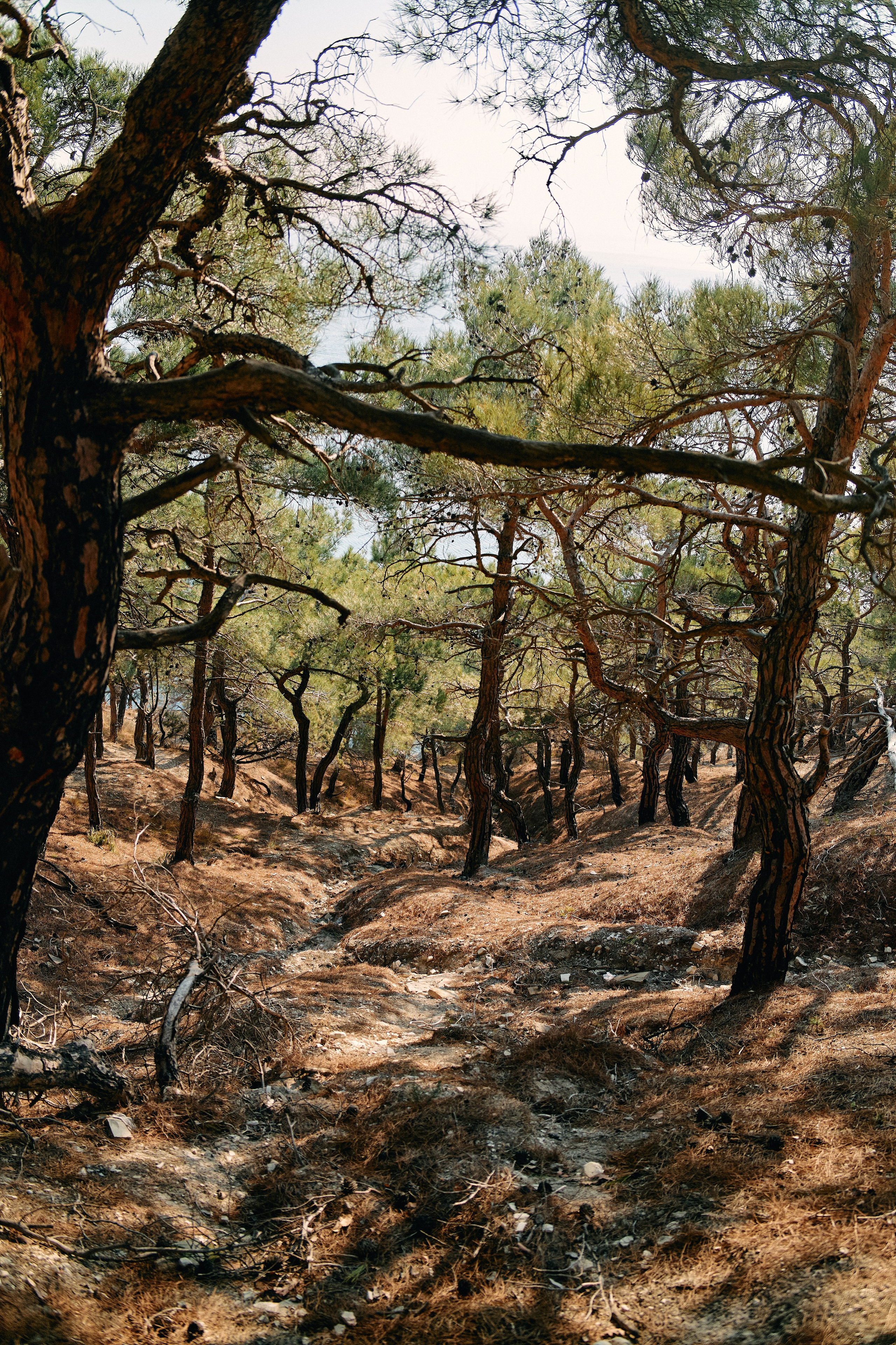 Юг России. Профессиональный Фотограф во Владимире, в Москве и в Суздале — Полина Романычева