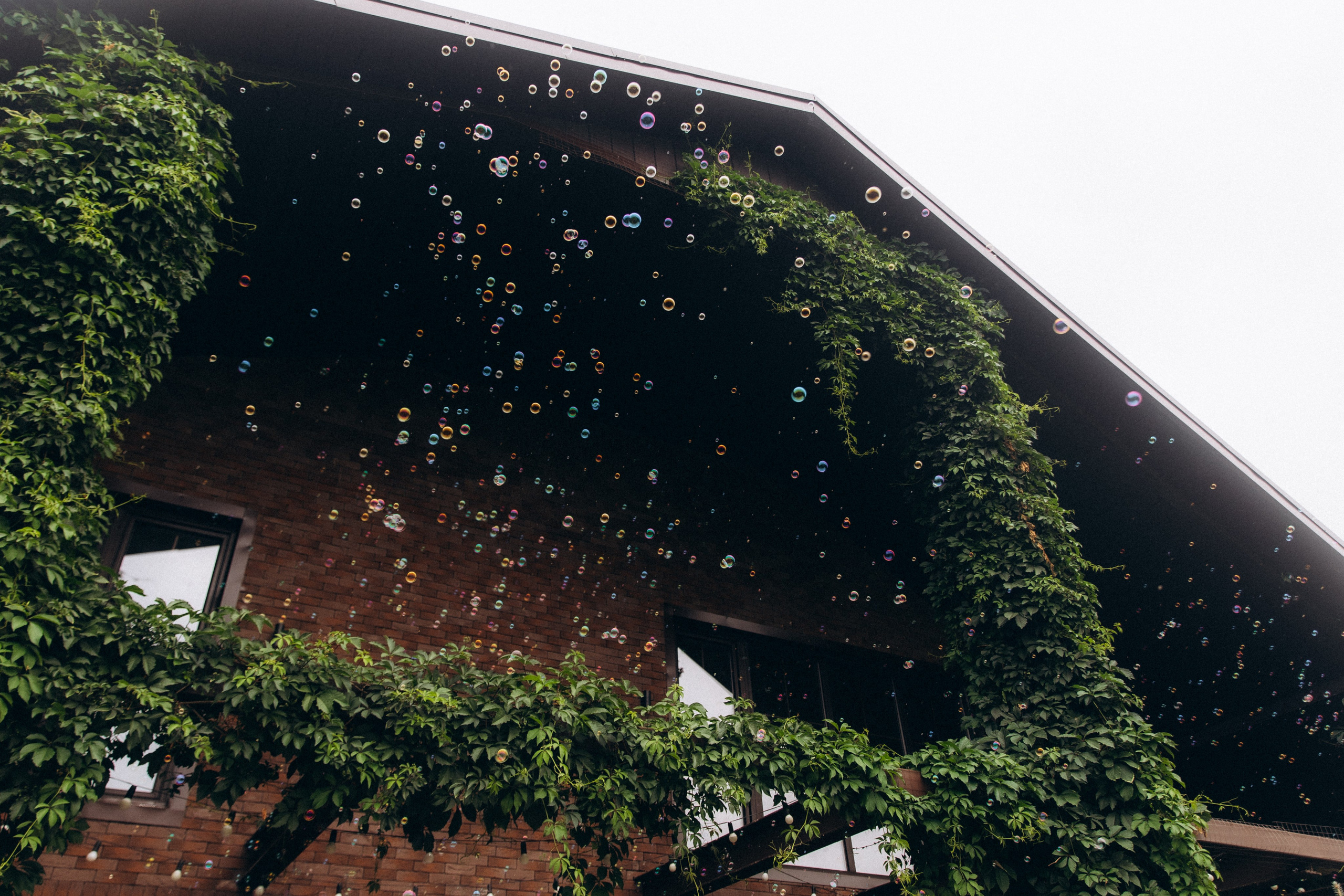 Пакеты видео+фото. Свеженцев Сергей — видеограф Воронеж / Москва / Санкт-Петербург