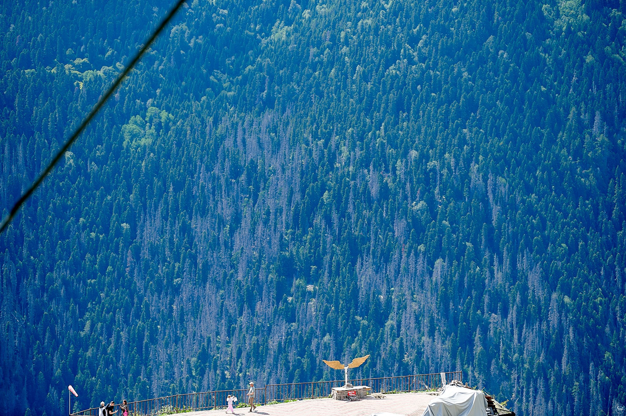 Домбай август 2024. Фотографии отовсюду и обо всем