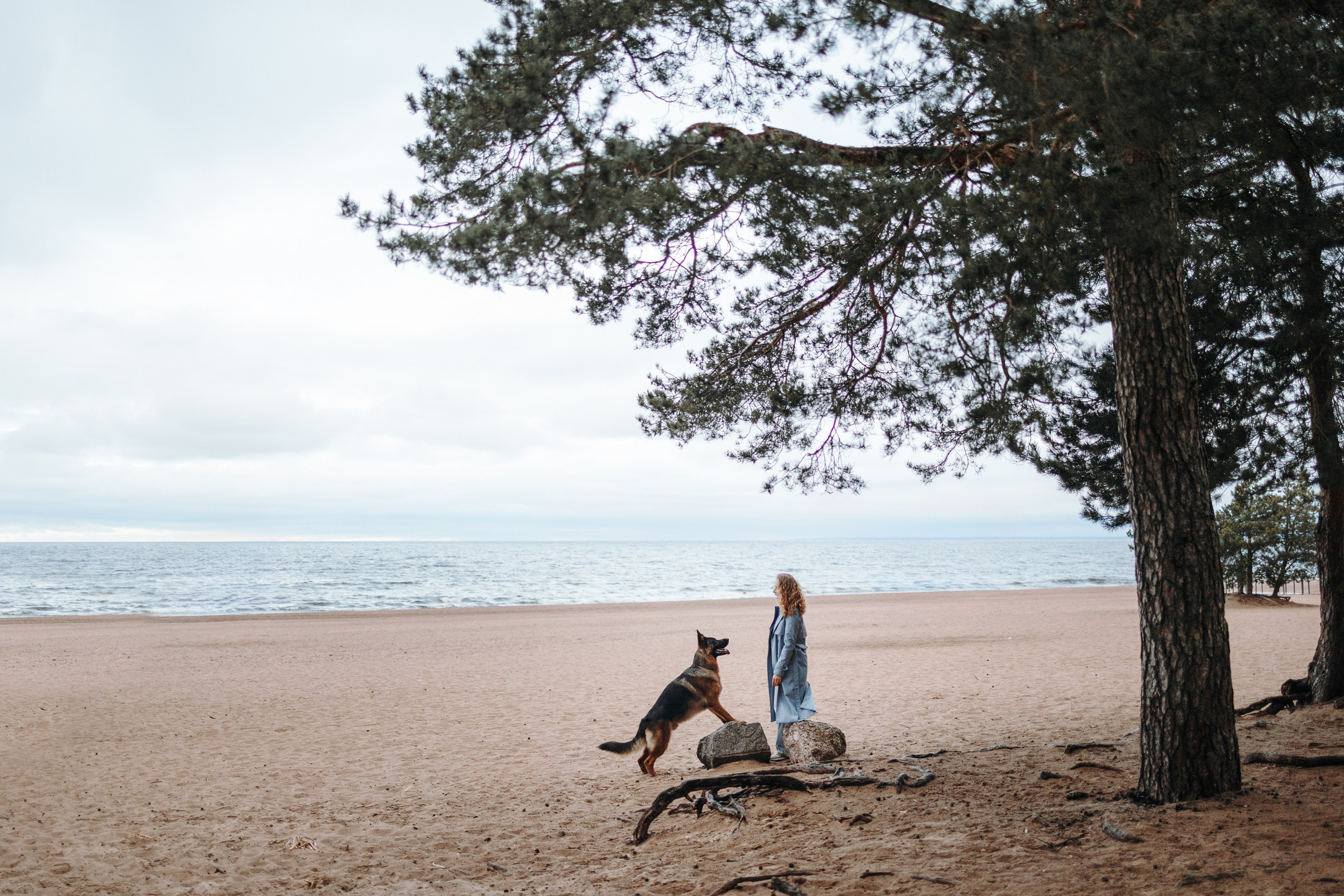 Катя и Агат. Фотограф — Анималист | Санкт-Петербург