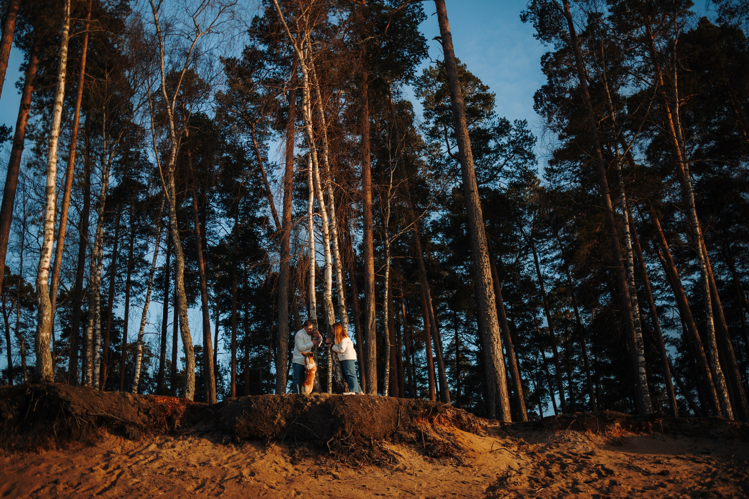 Найт и его семья. Фотограф — Анималист | Санкт-Петербург